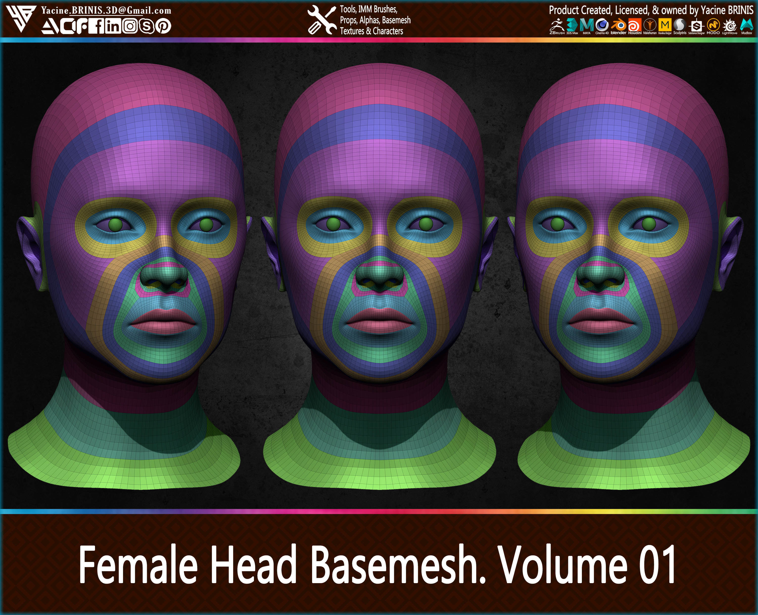 Female Head Basemesh Vol 01 Low-poly 3D model_11
