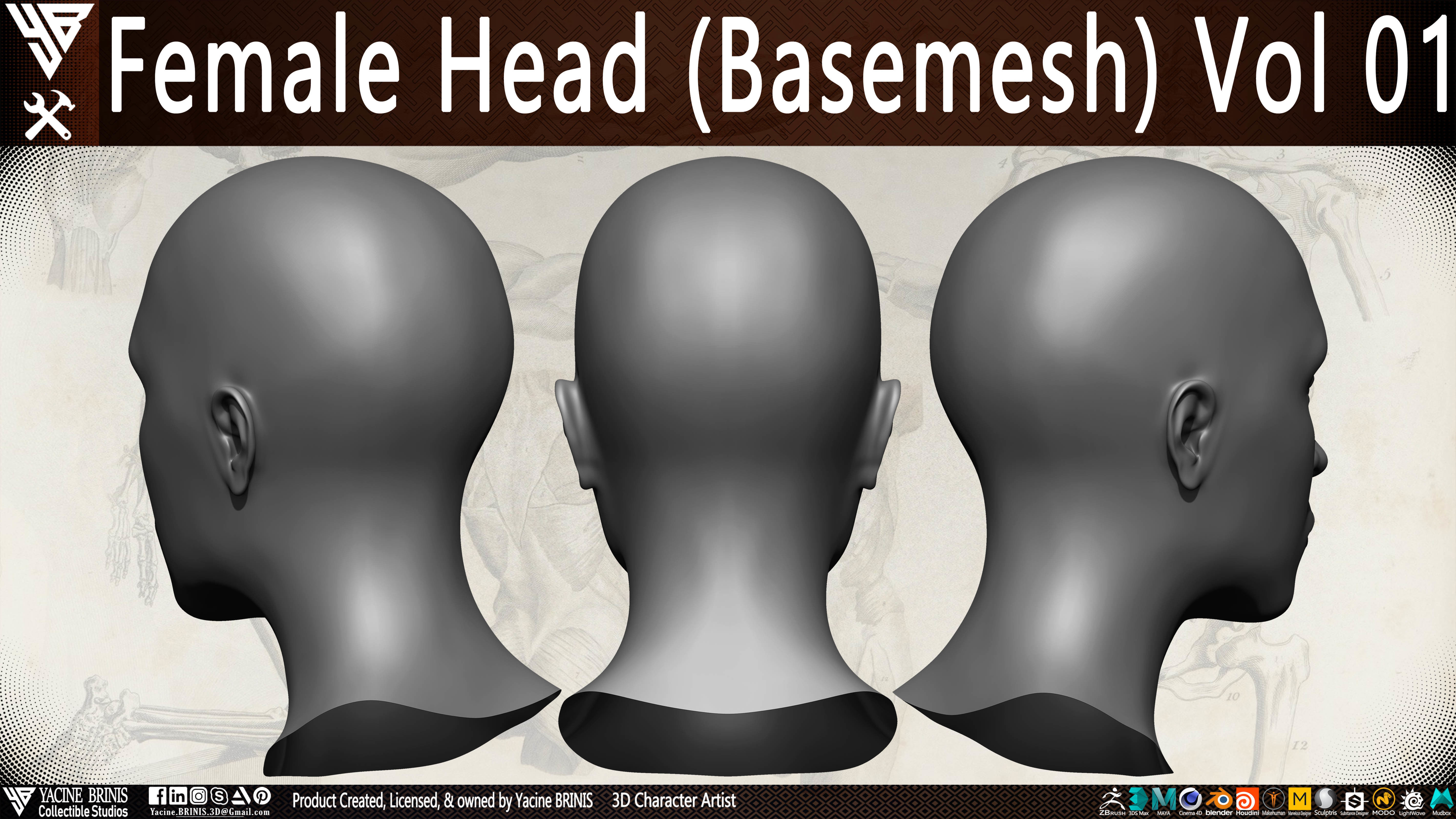 Female Head Basemesh Vol 01 Low-poly 3D model_4