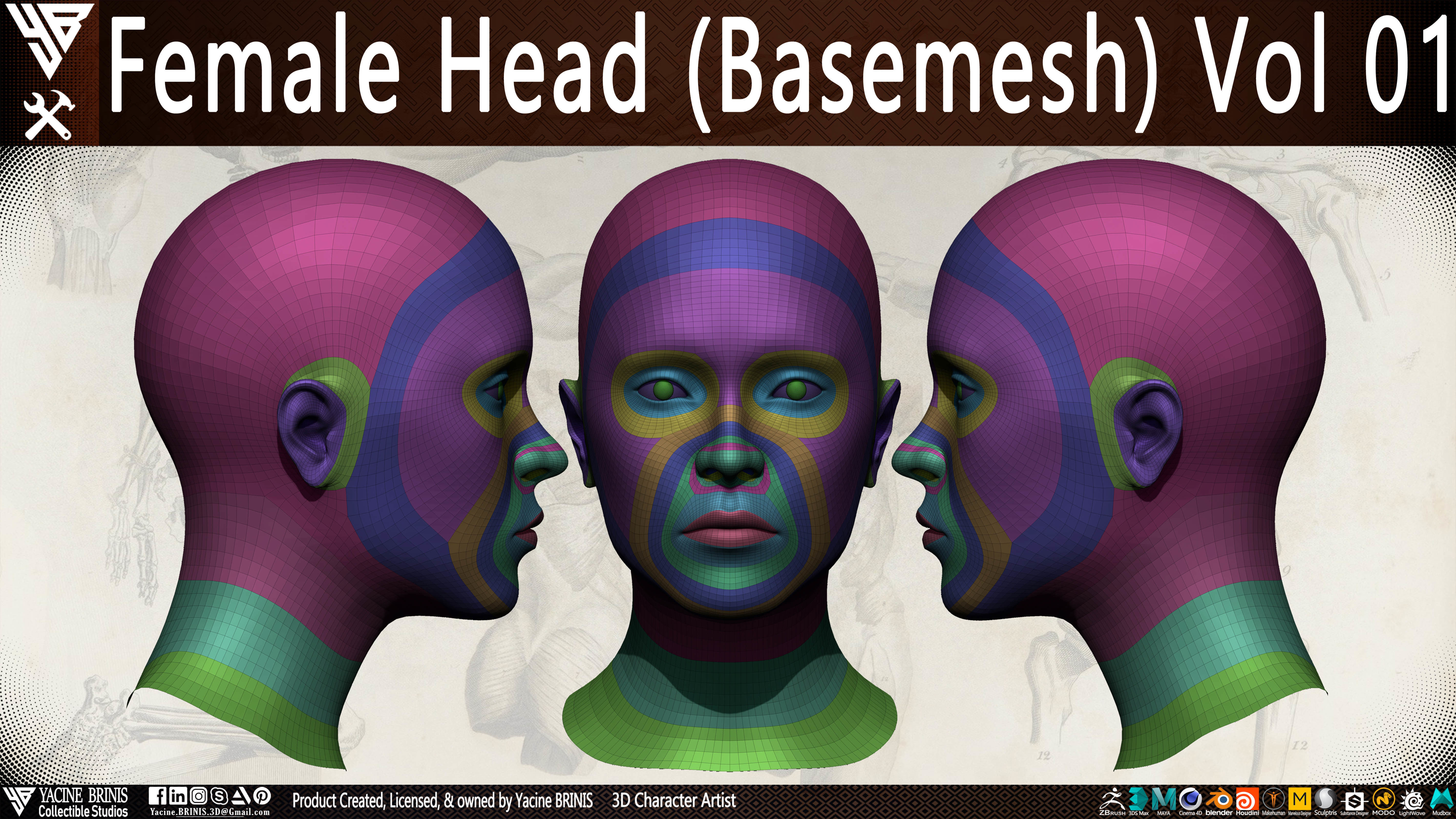 Female Head Basemesh Vol 01 Low-poly 3D model_7