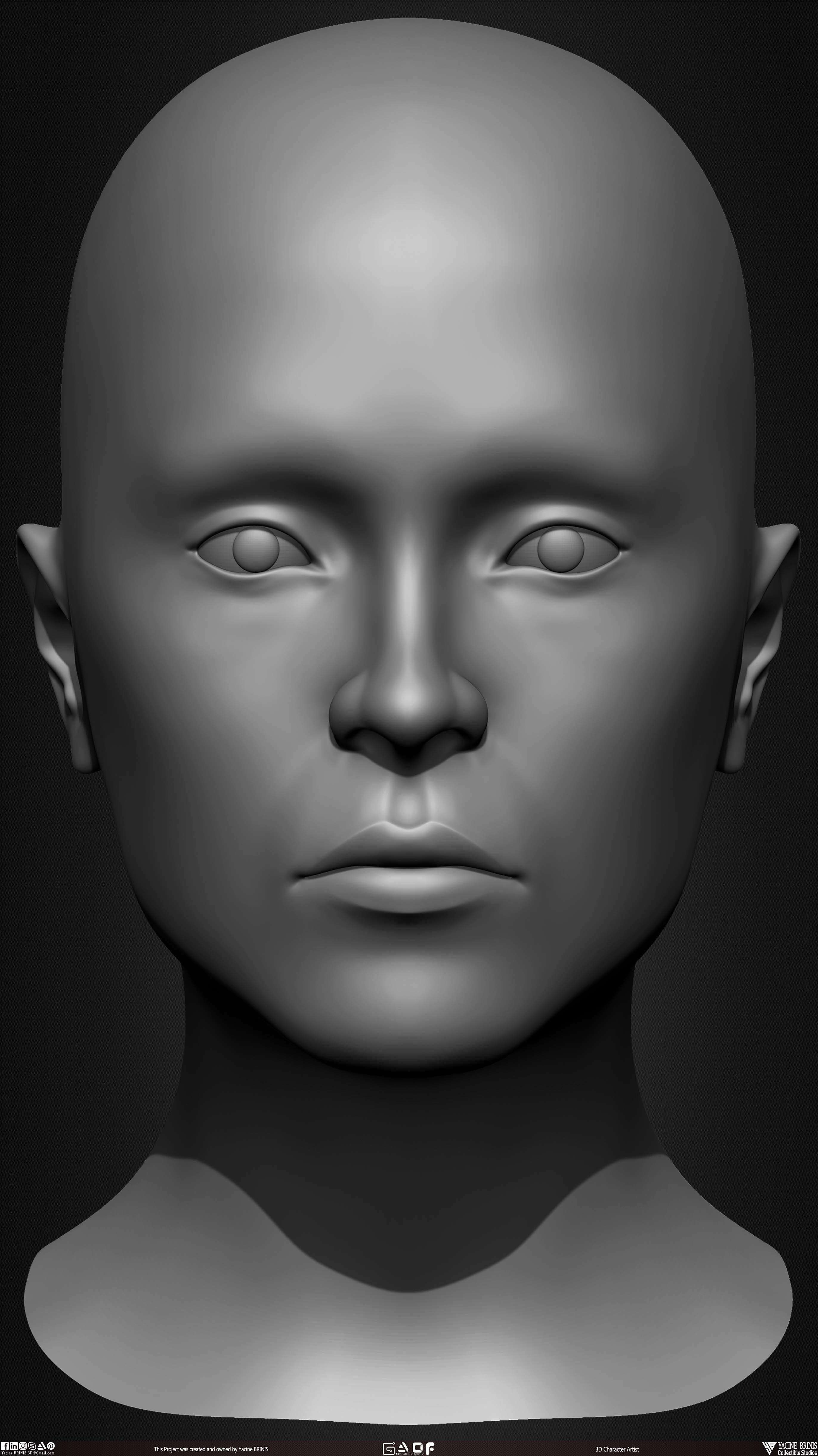 Female Head Basemesh Vol 01 Low-poly 3D model_13