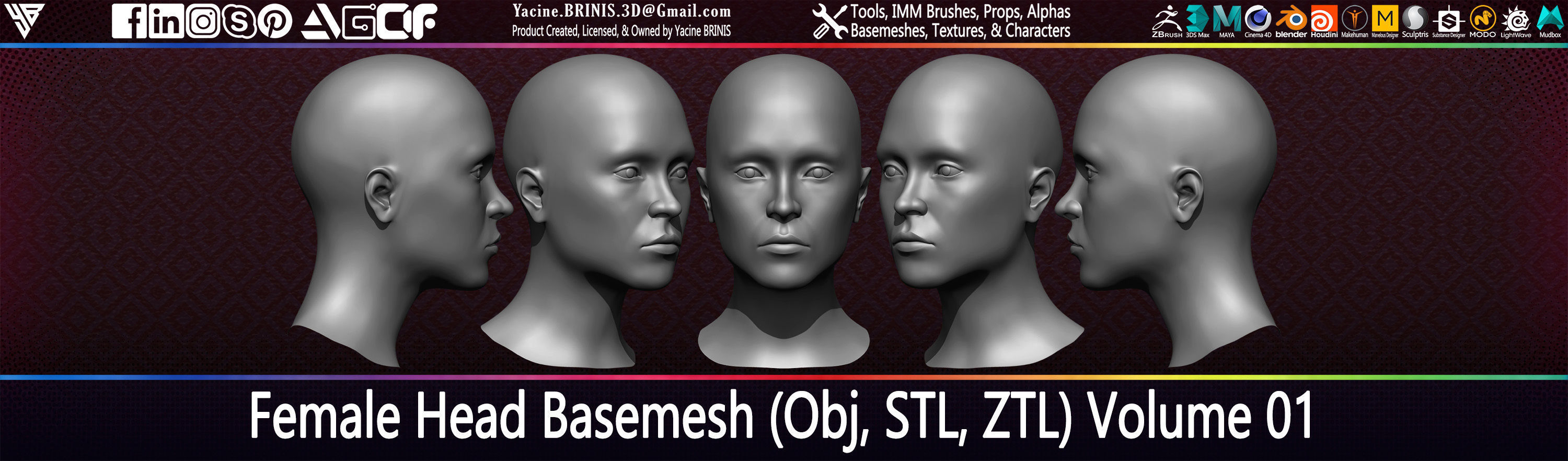 Female Head Basemesh Vol 01 Low-poly 3D model_12