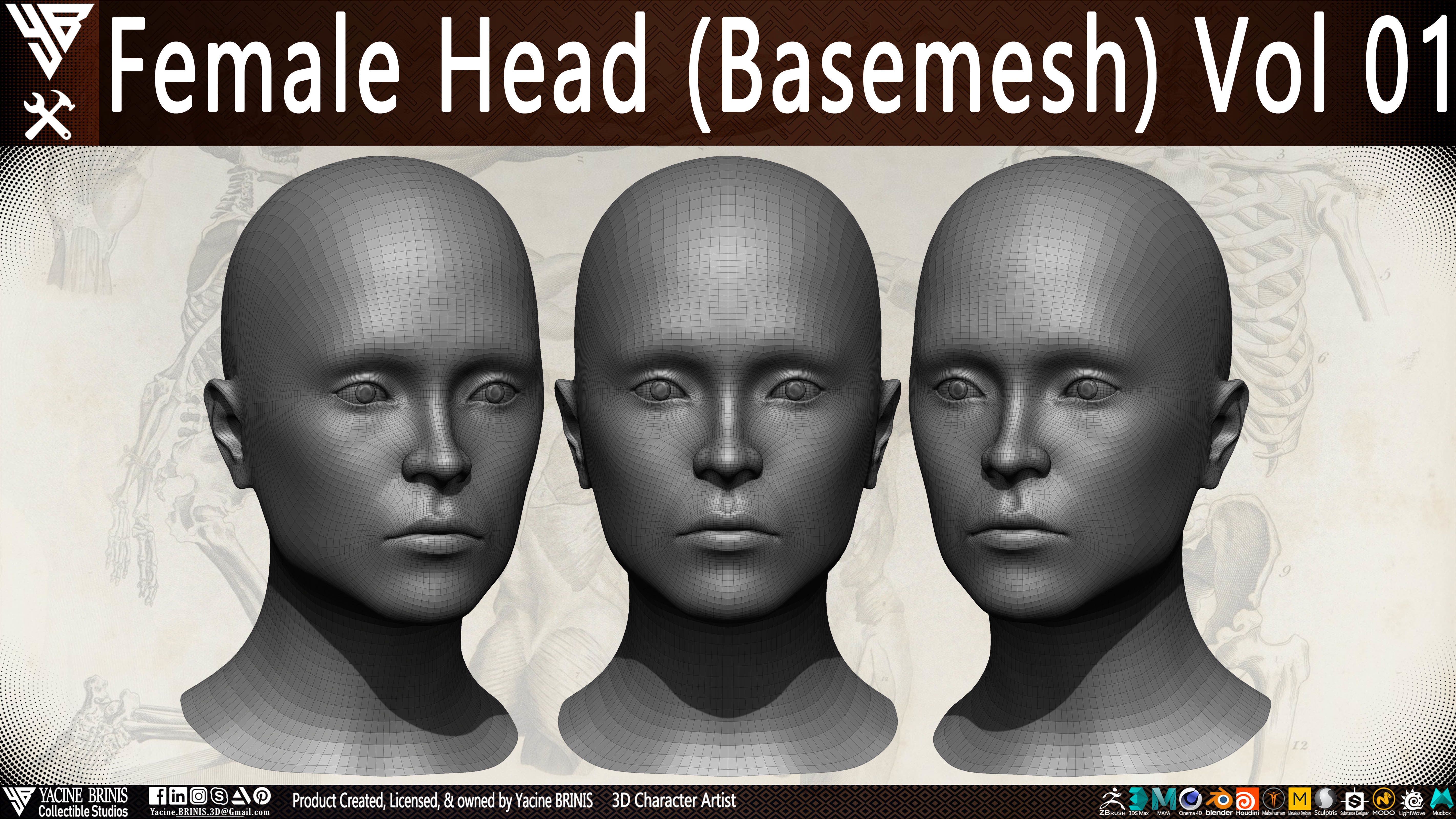 Female Head Basemesh Vol 01 Low-poly 3D model_9