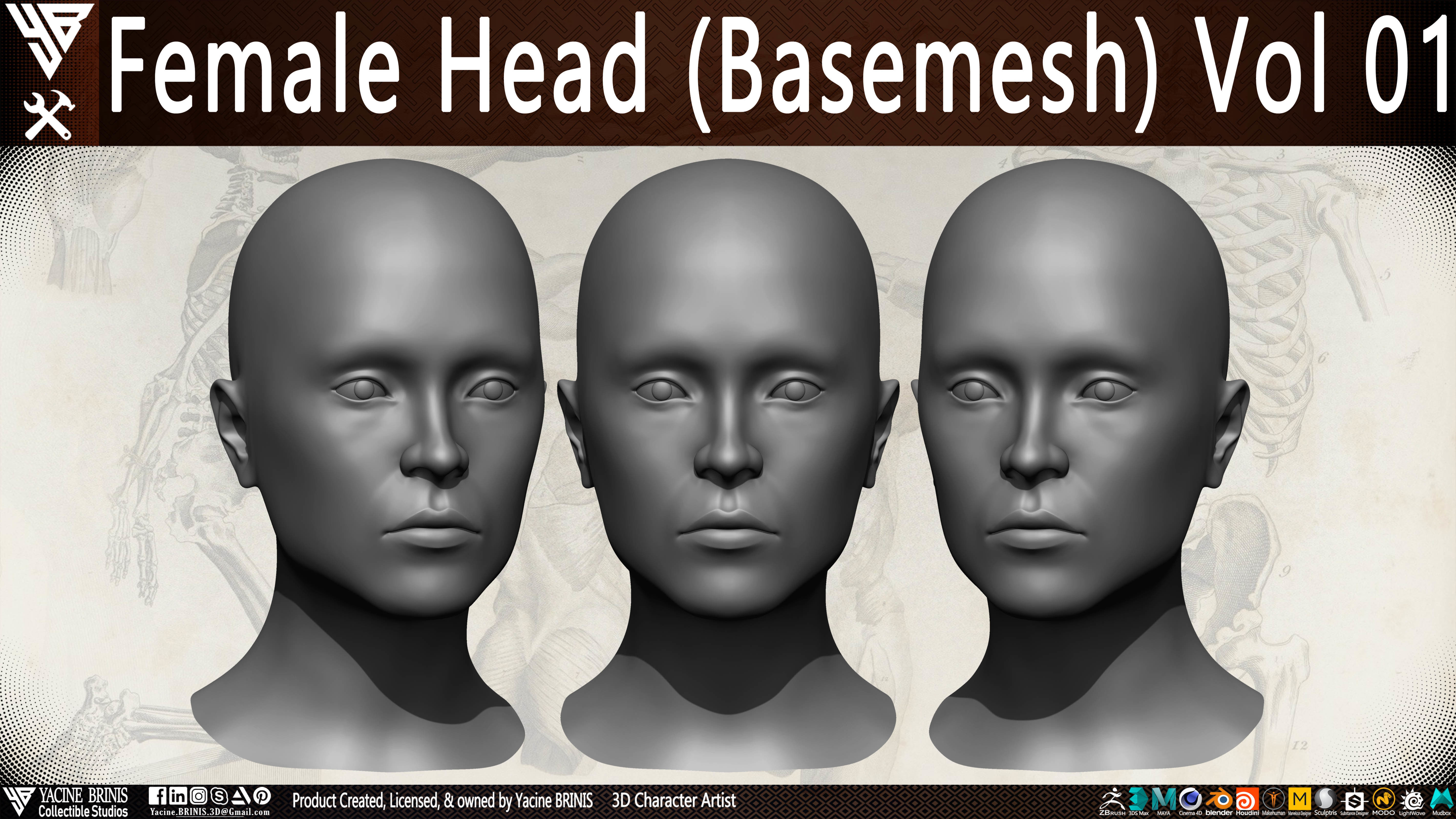 Female Head Basemesh Vol 01 Low-poly 3D model_3