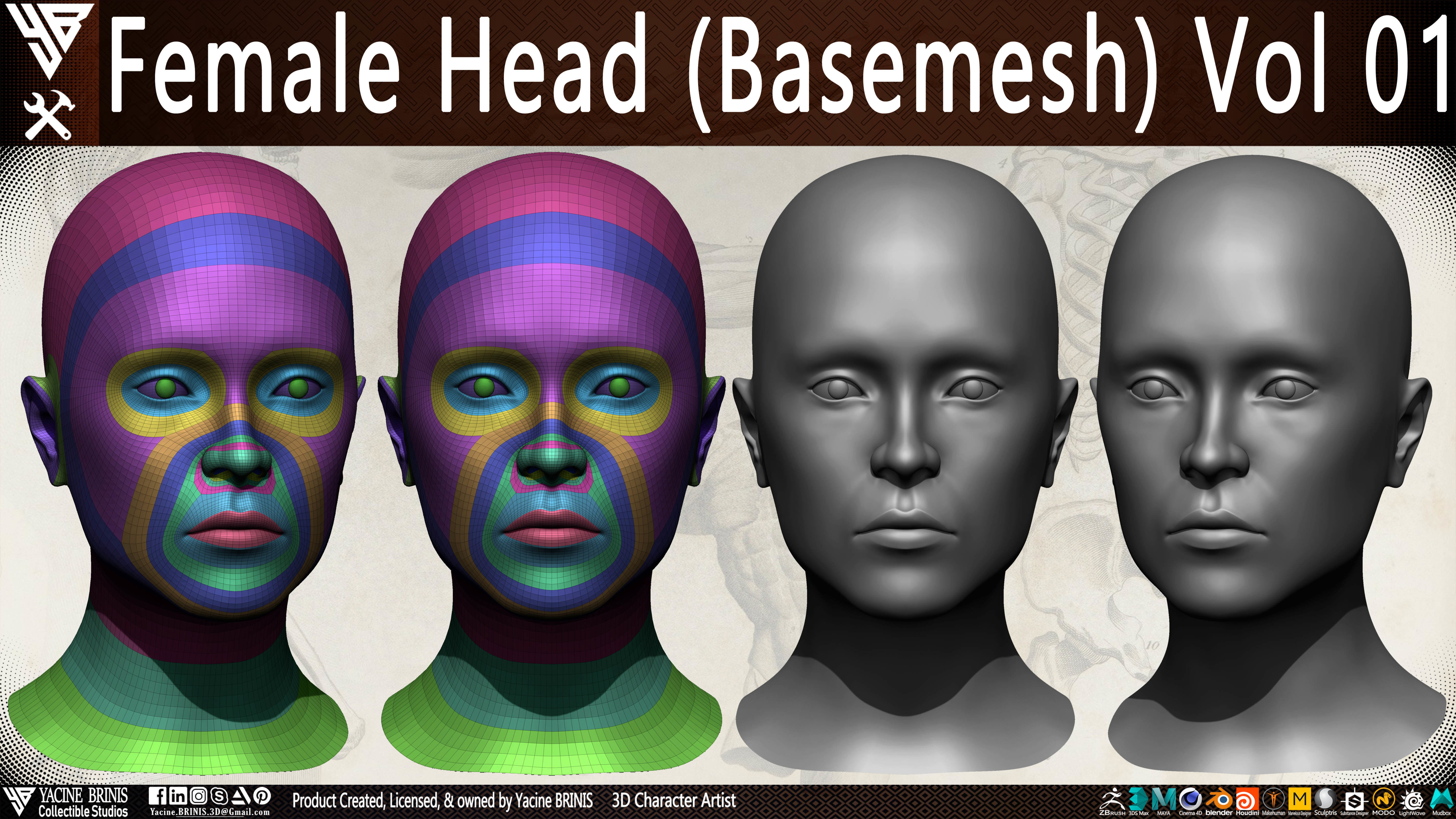 Female Head Basemesh Vol 01 Low-poly 3D model_1
