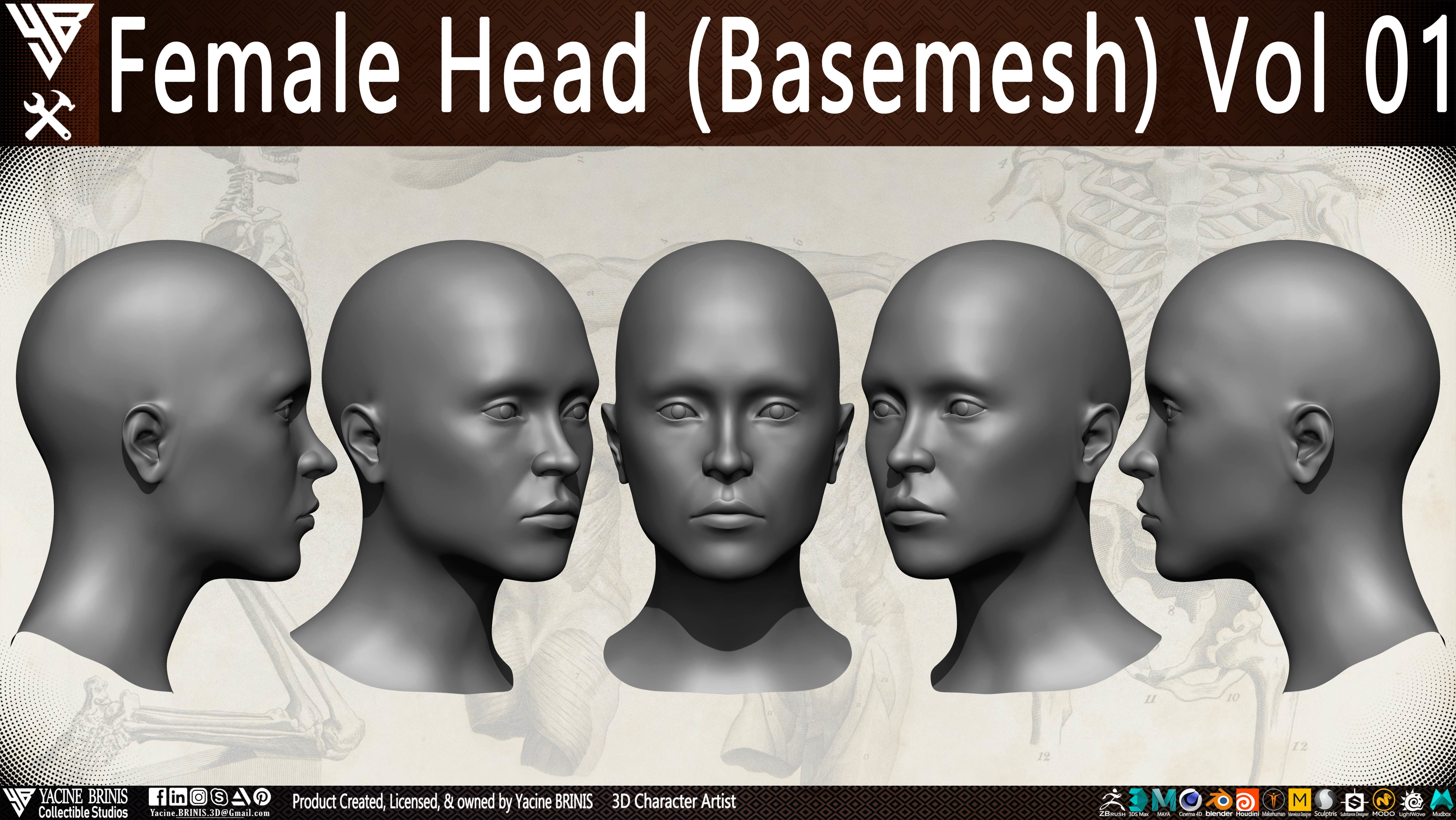 Female Head Basemesh Vol 01 Low-poly 3D model_2