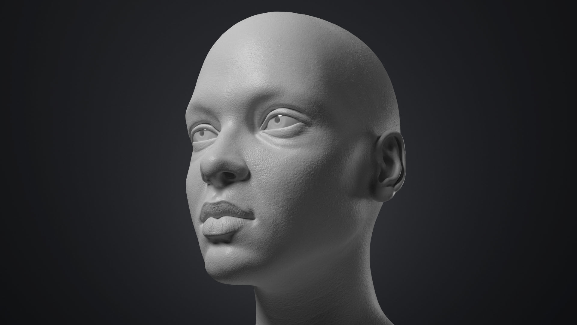 Female Head With Detailed Skin Texture Low-poly 3D model_11