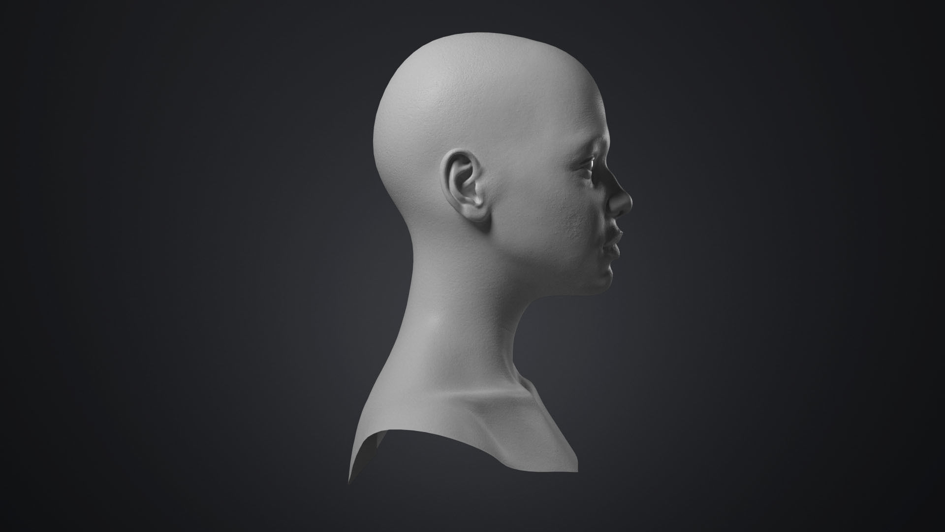 Female Head With Detailed Skin Texture Low-poly 3D model_4