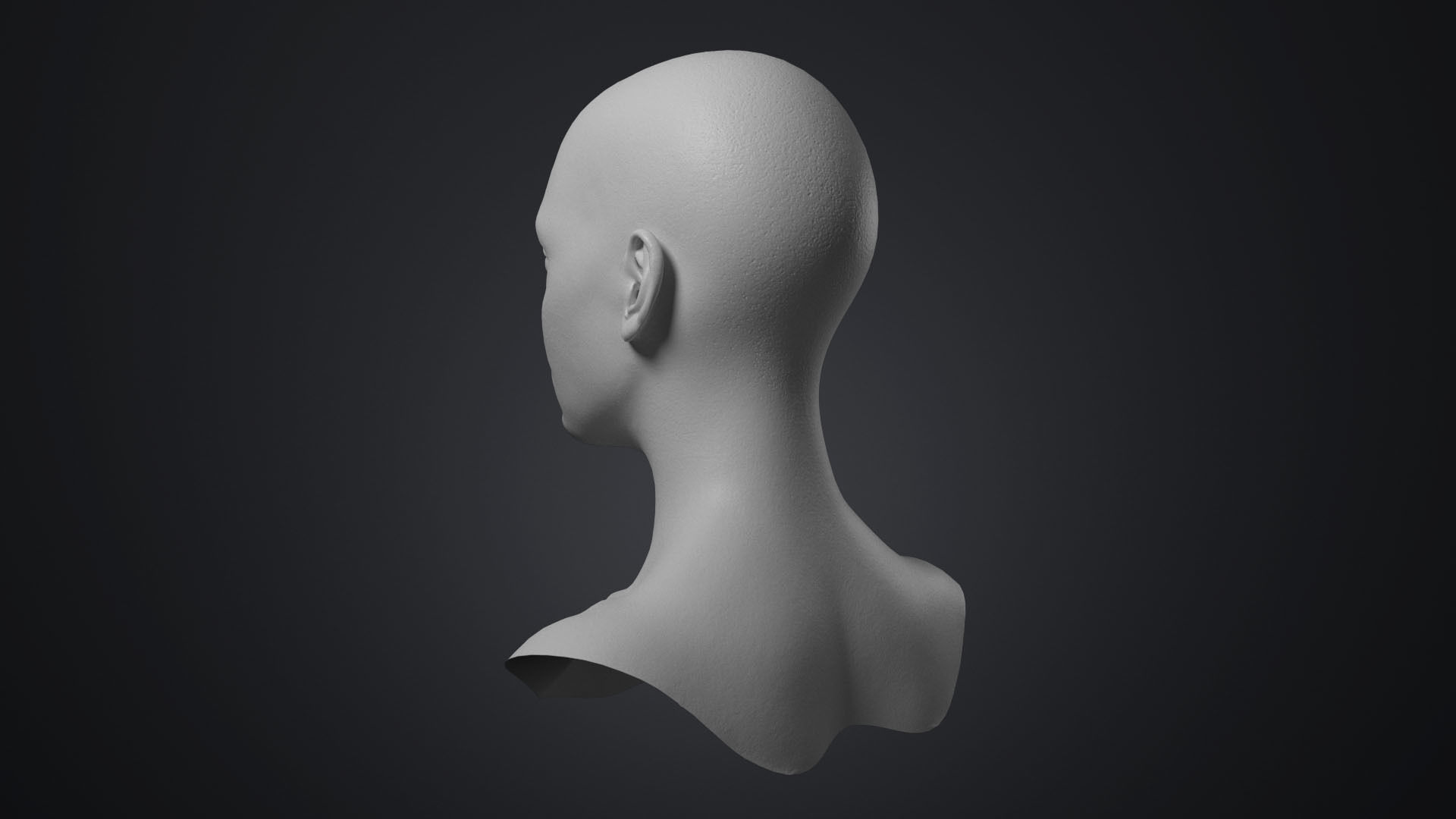 Female Head With Detailed Skin Texture Low-poly 3D model_7