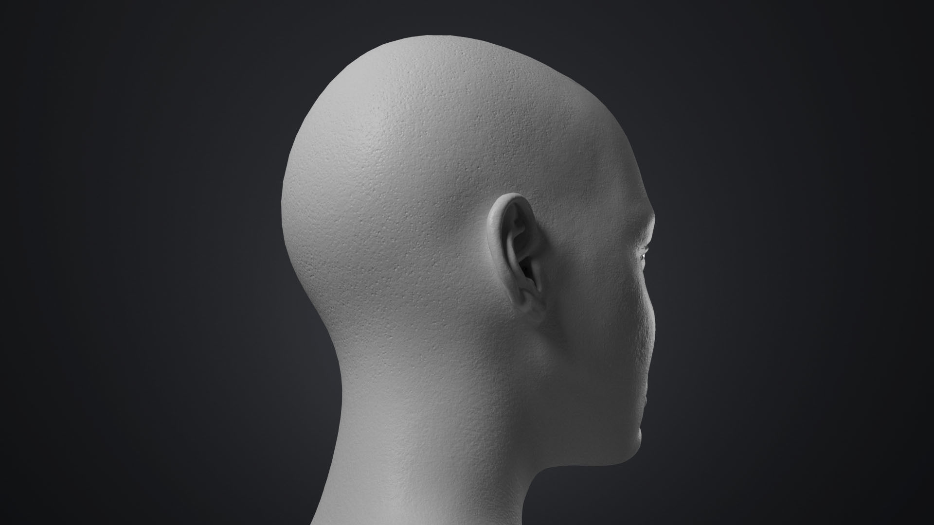 Female Head With Detailed Skin Texture Low-poly 3D model_12