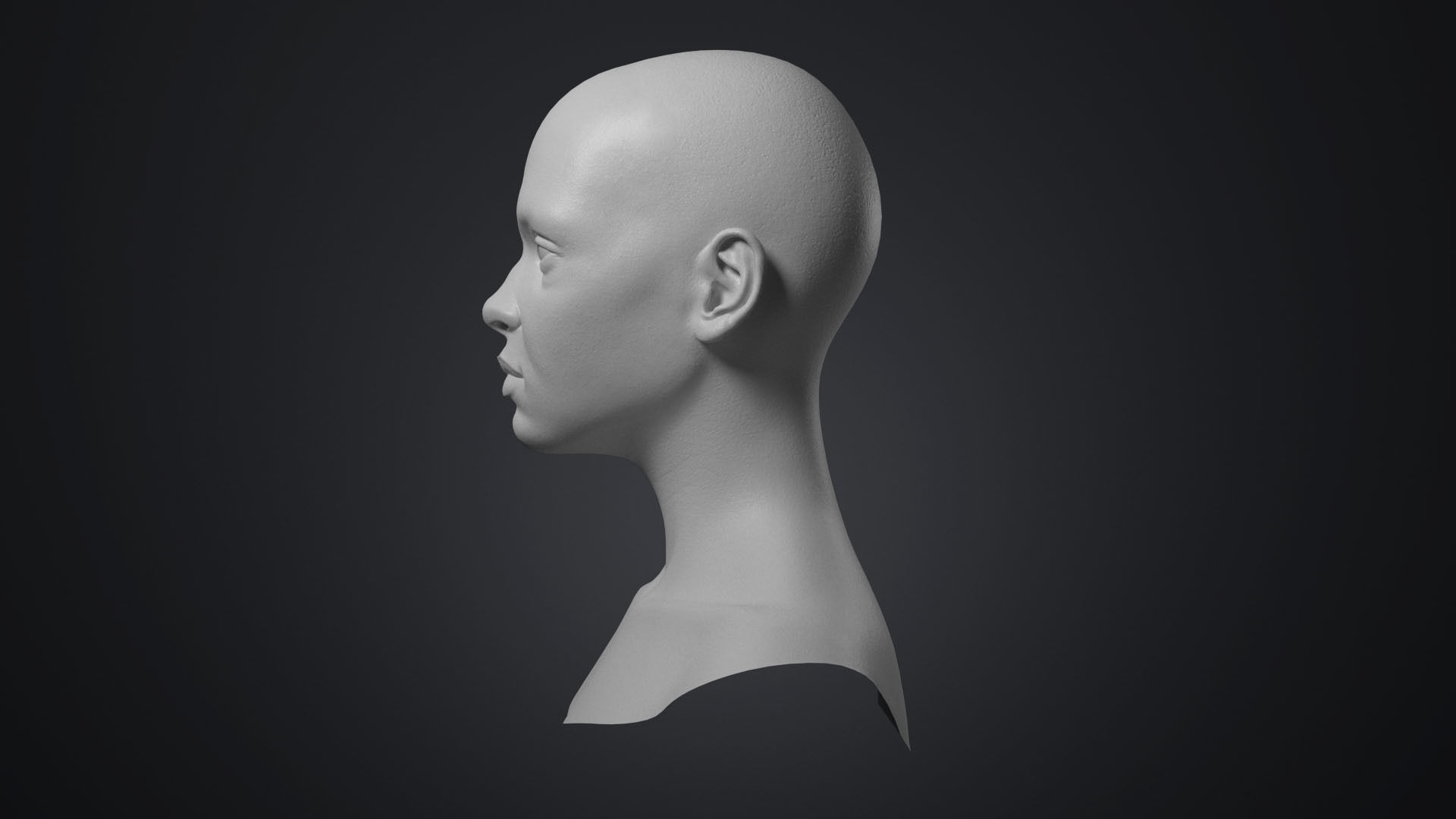 Female Head With Detailed Skin Texture Low-poly 3D model_8