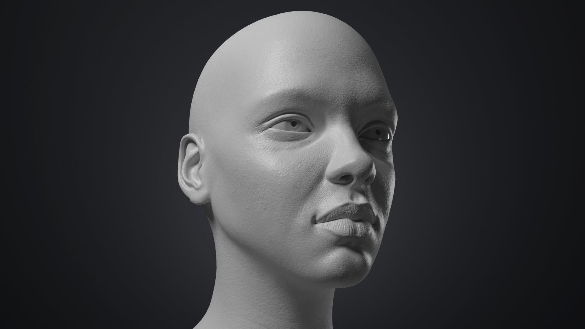 Female Head With Detailed Skin Texture Low-poly 3D model_10