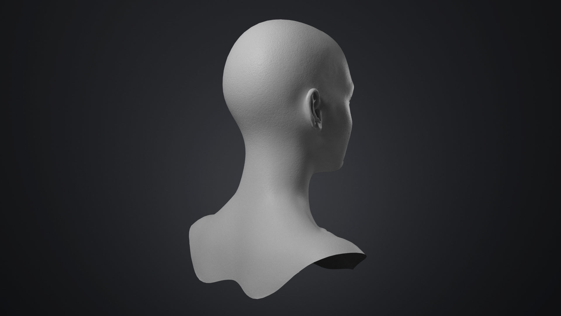 Female Head With Detailed Skin Texture Low-poly 3D model_5