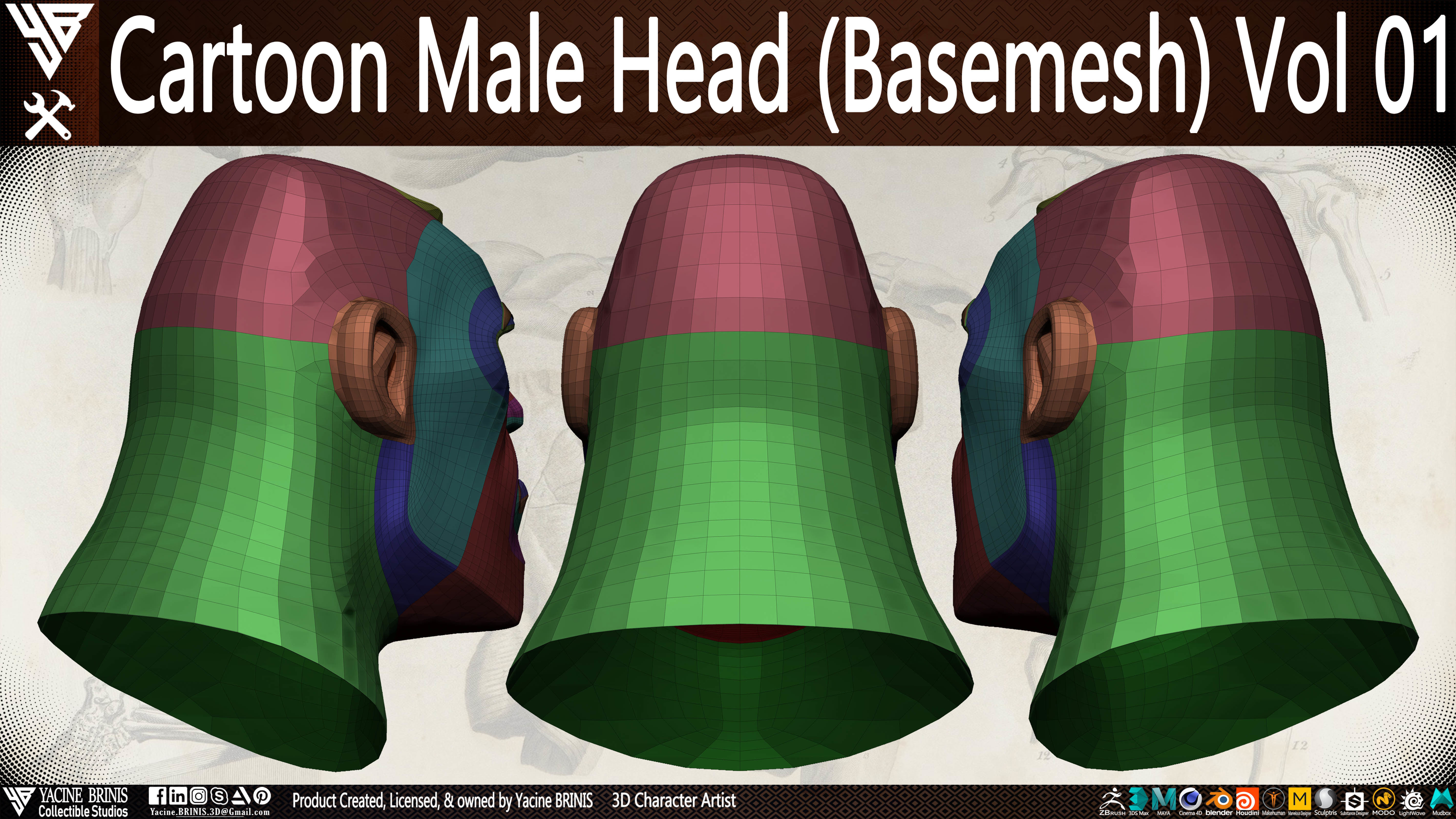 Cartoon Male Head Basemesh Vol 01 Low-poly 3D model_24