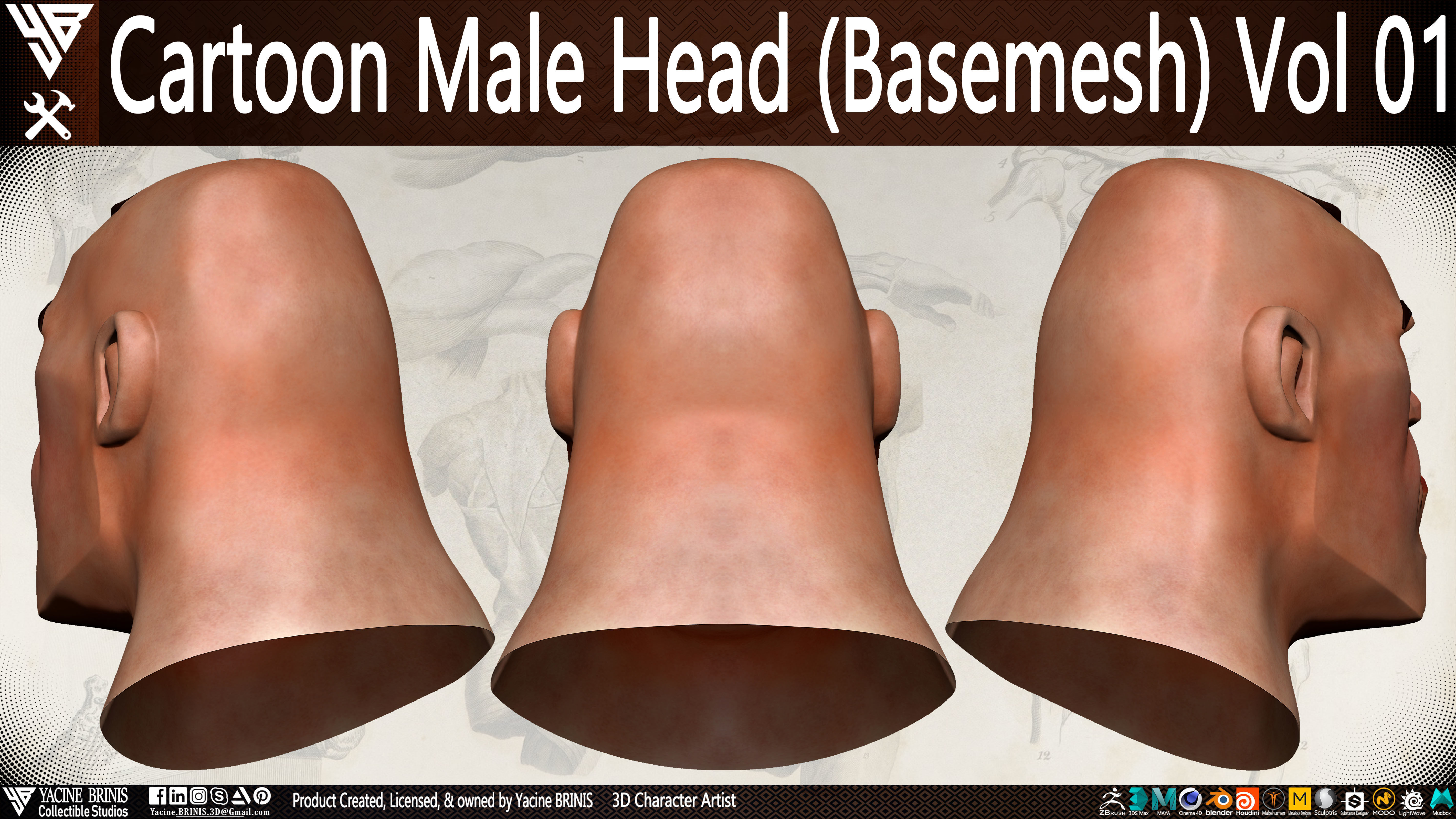 Cartoon Male Head Basemesh Vol 01 Low-poly 3D model_4