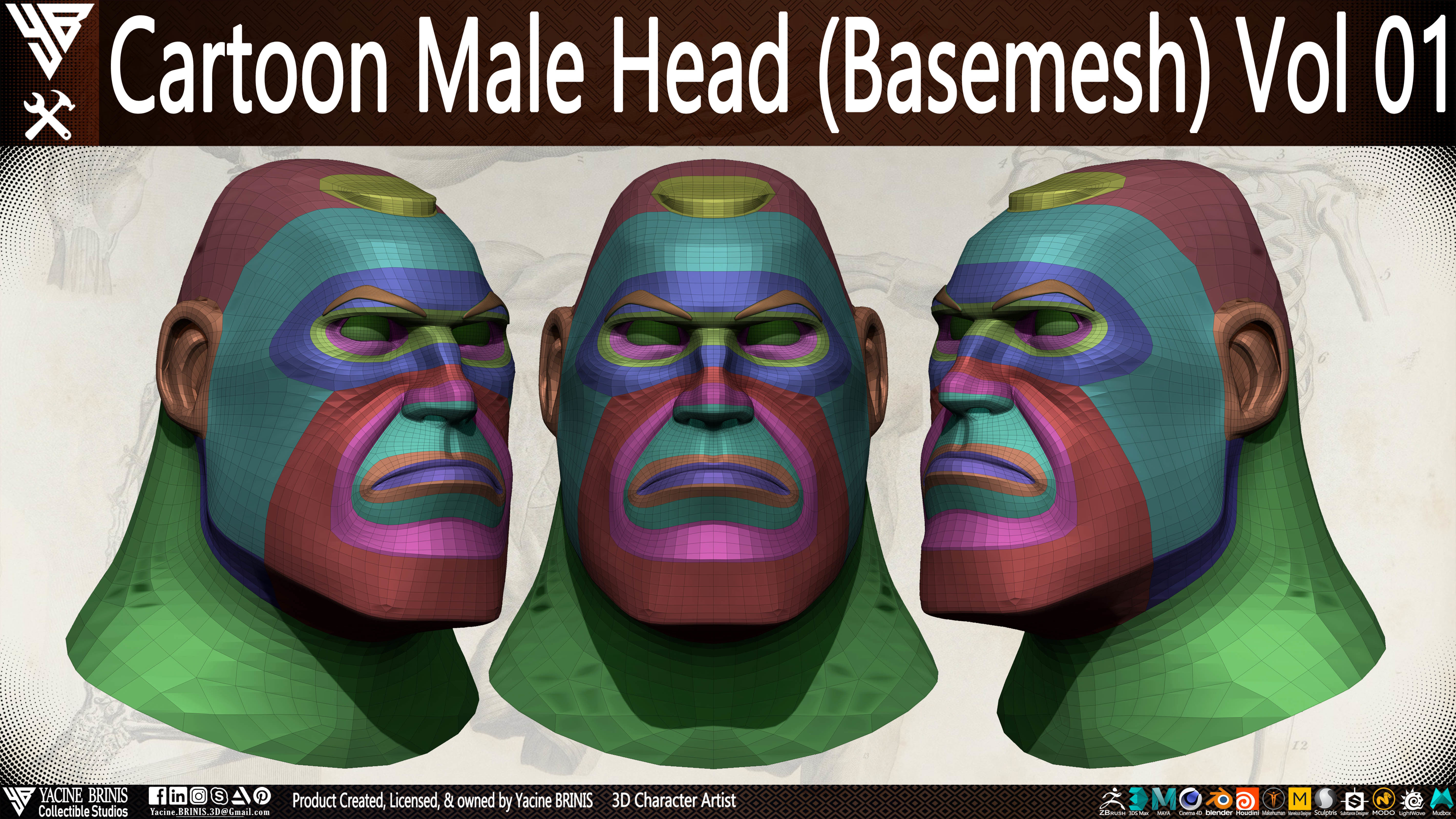 Cartoon Male Head Basemesh Vol 01 Low-poly 3D model_9