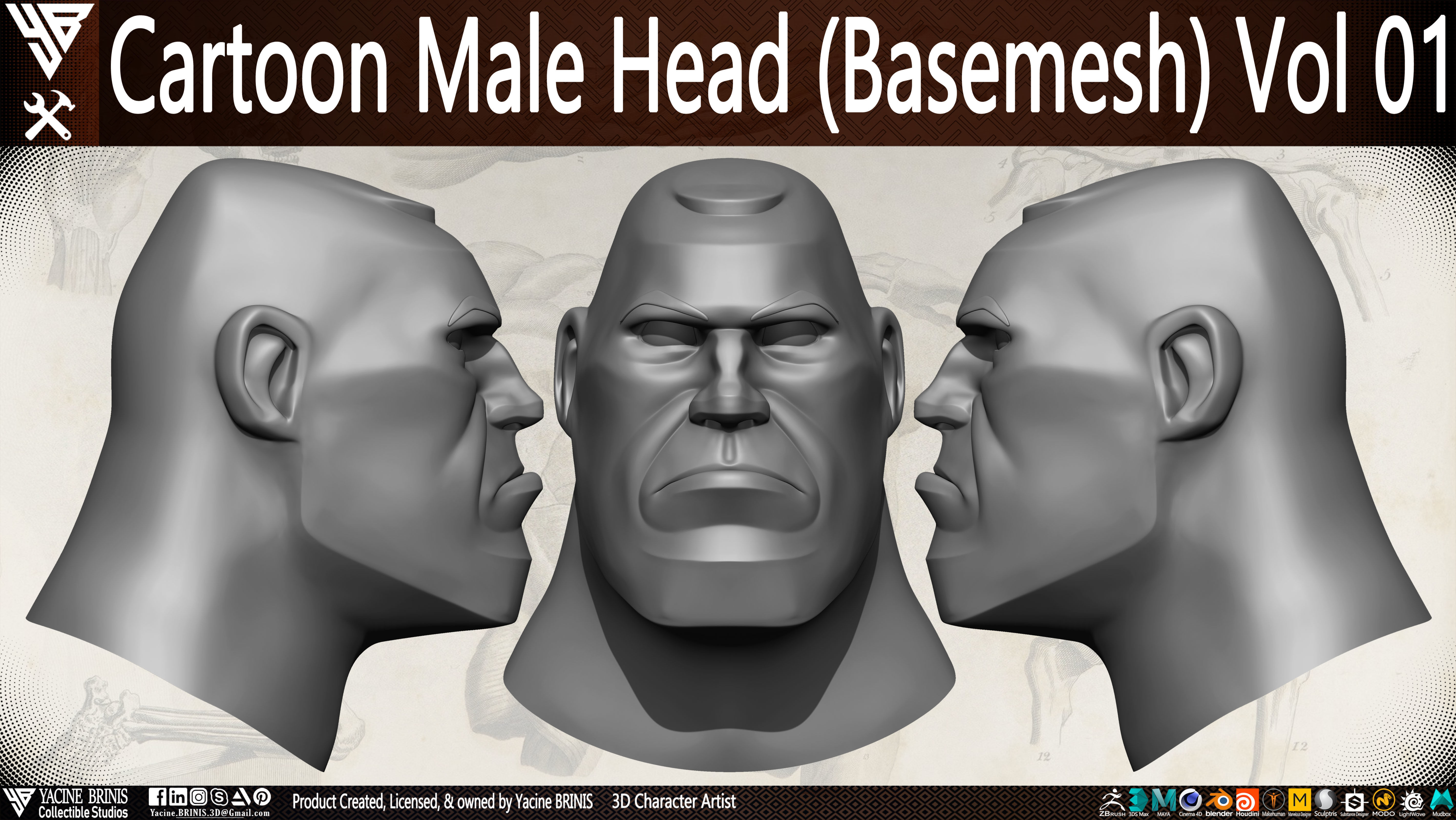 Cartoon Male Head Basemesh Vol 01 Low-poly 3D model_7