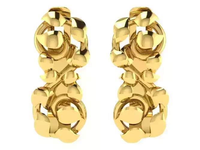 Delicate Fine Earrings