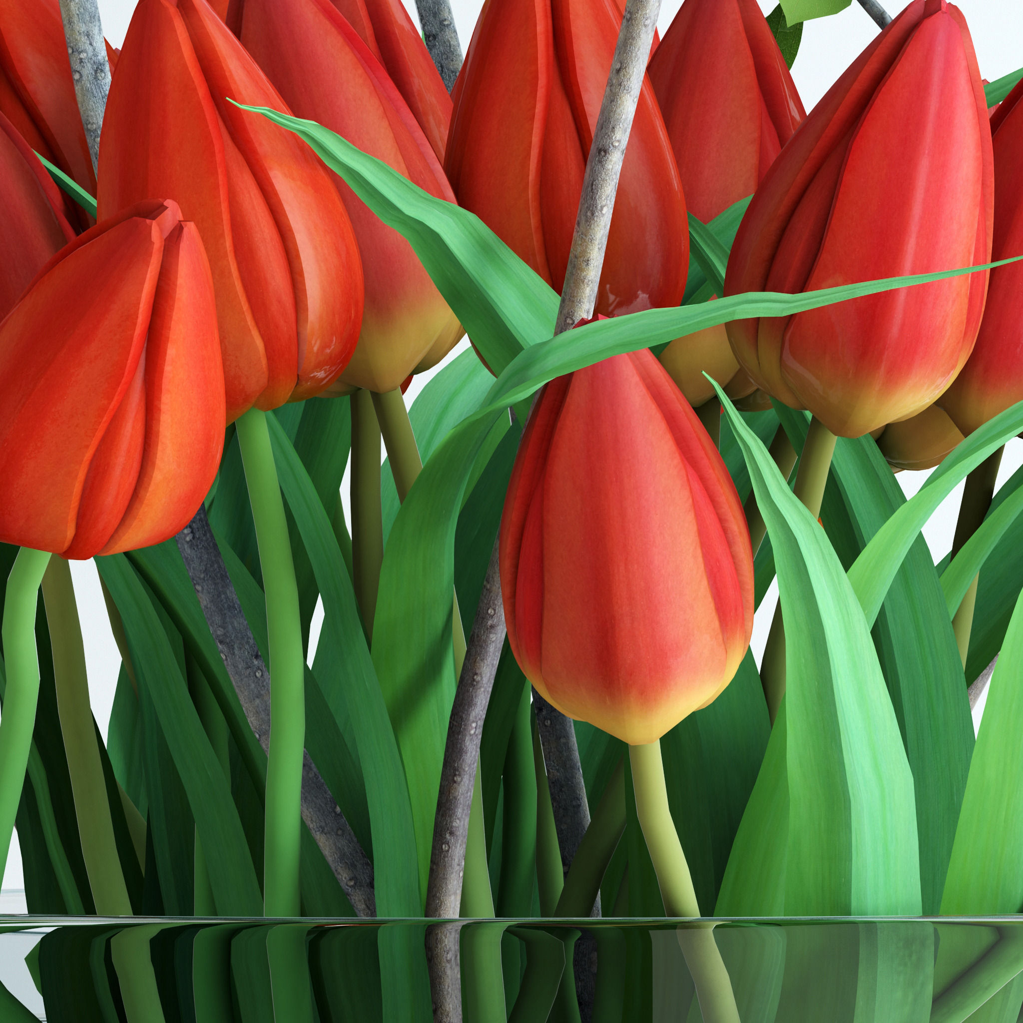 Tulips with spring branches 3D model_8