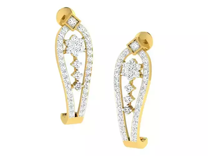 Delicate Fine Earrings