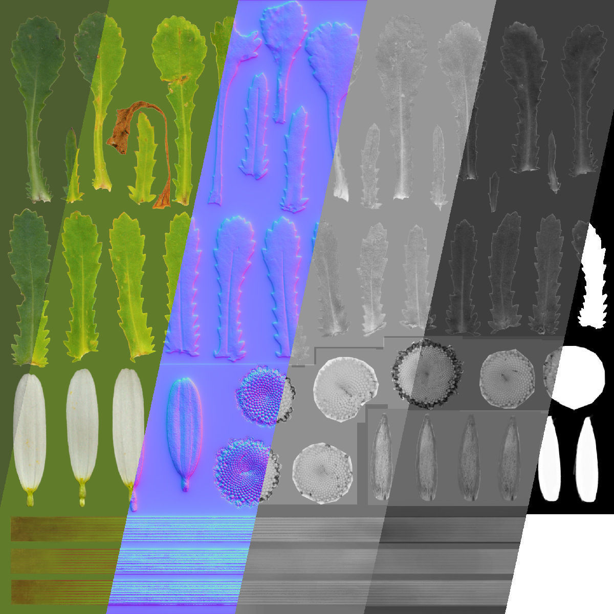 Daisy VFX Grace Low-poly 3D model_19