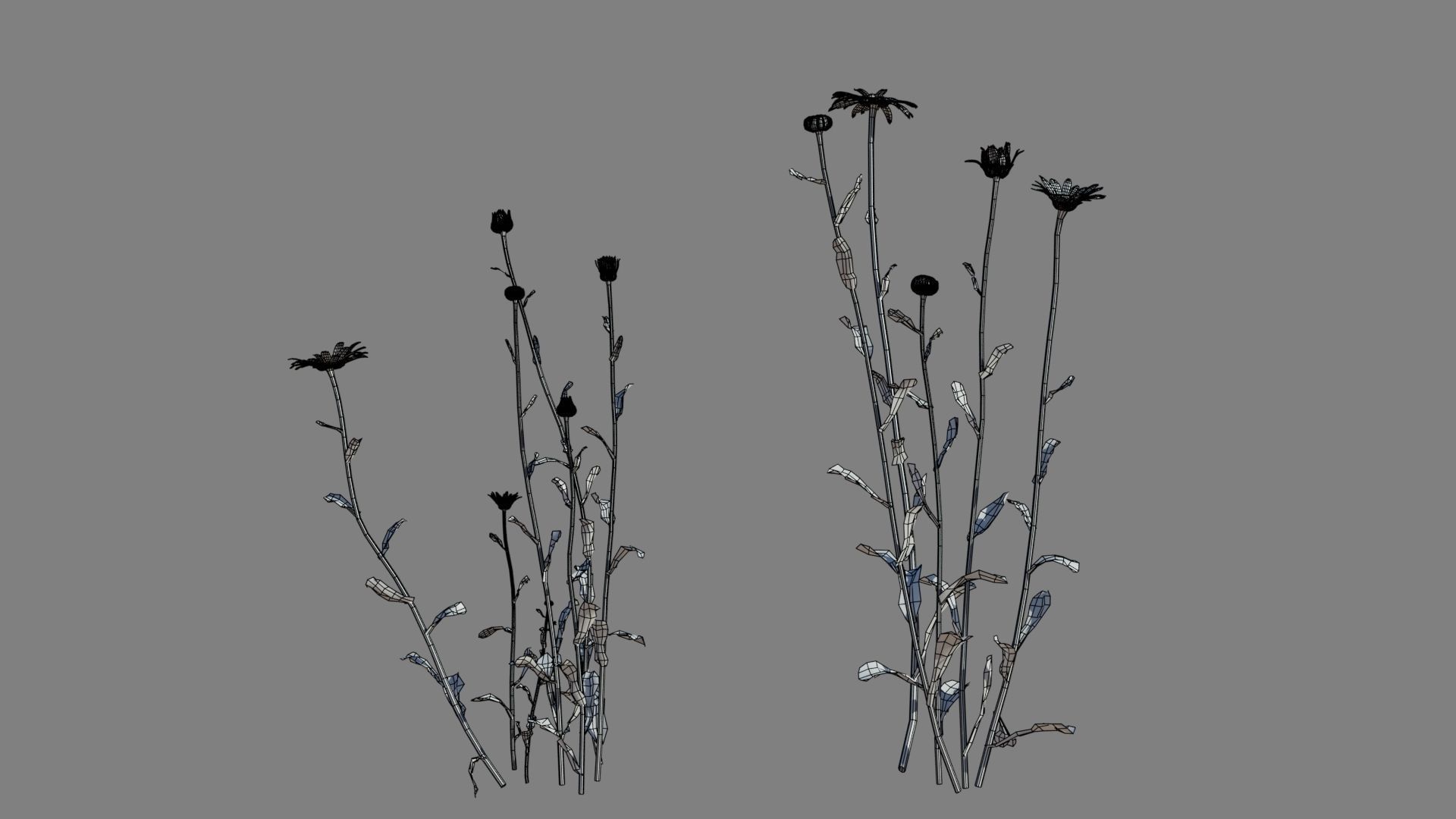 Daisy VFX Grace Low-poly 3D model_16