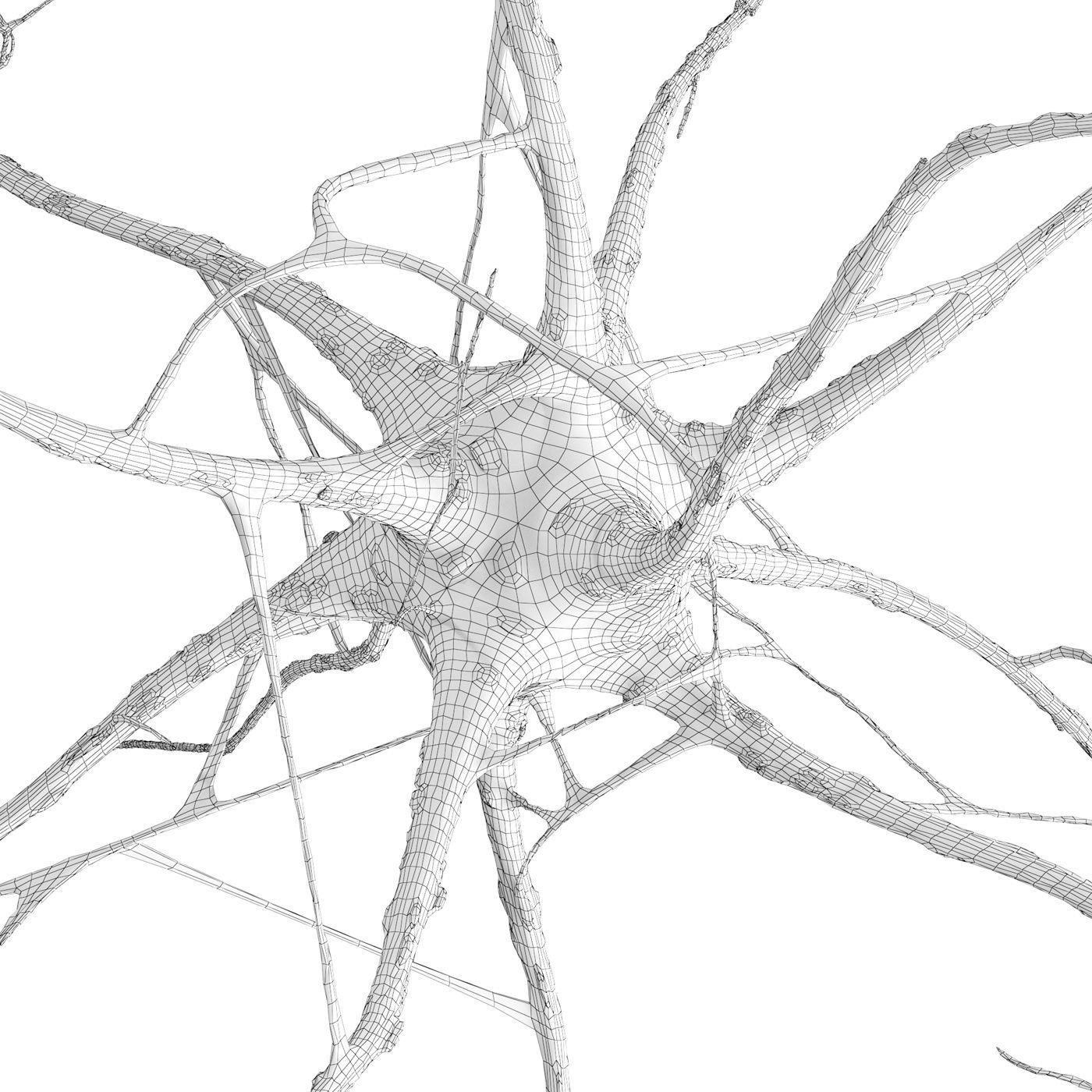Nerve cell 3D model_5