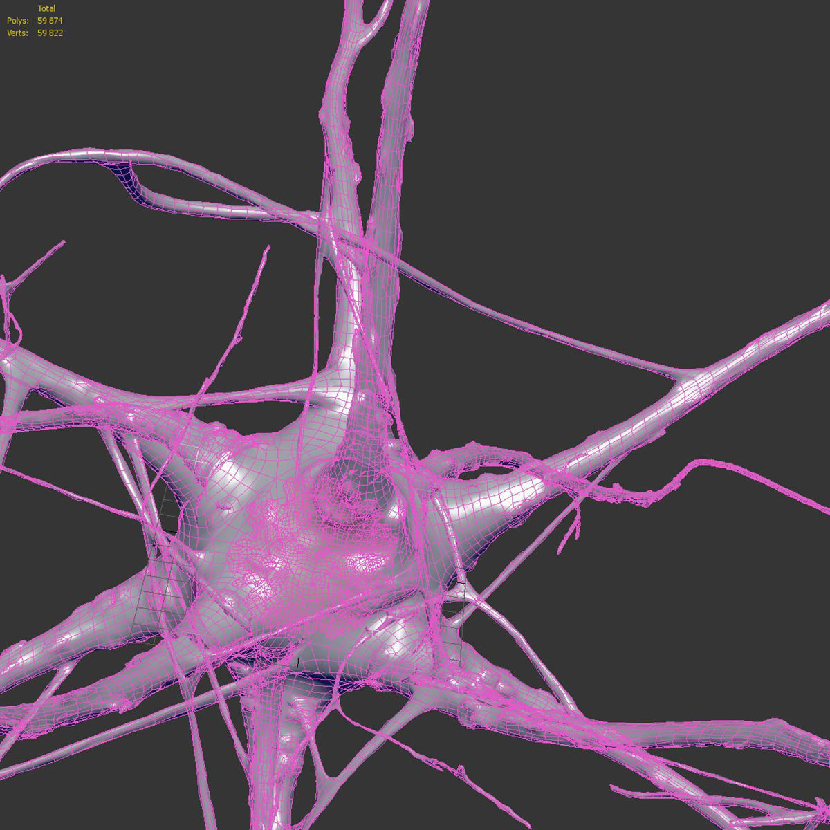 Nerve cell 3D model_6