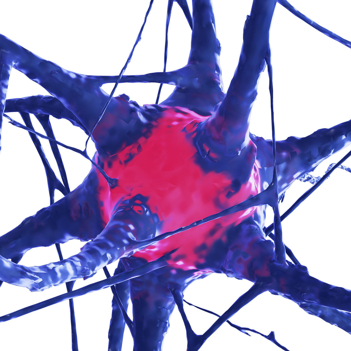 Nerve cell 3D model_2