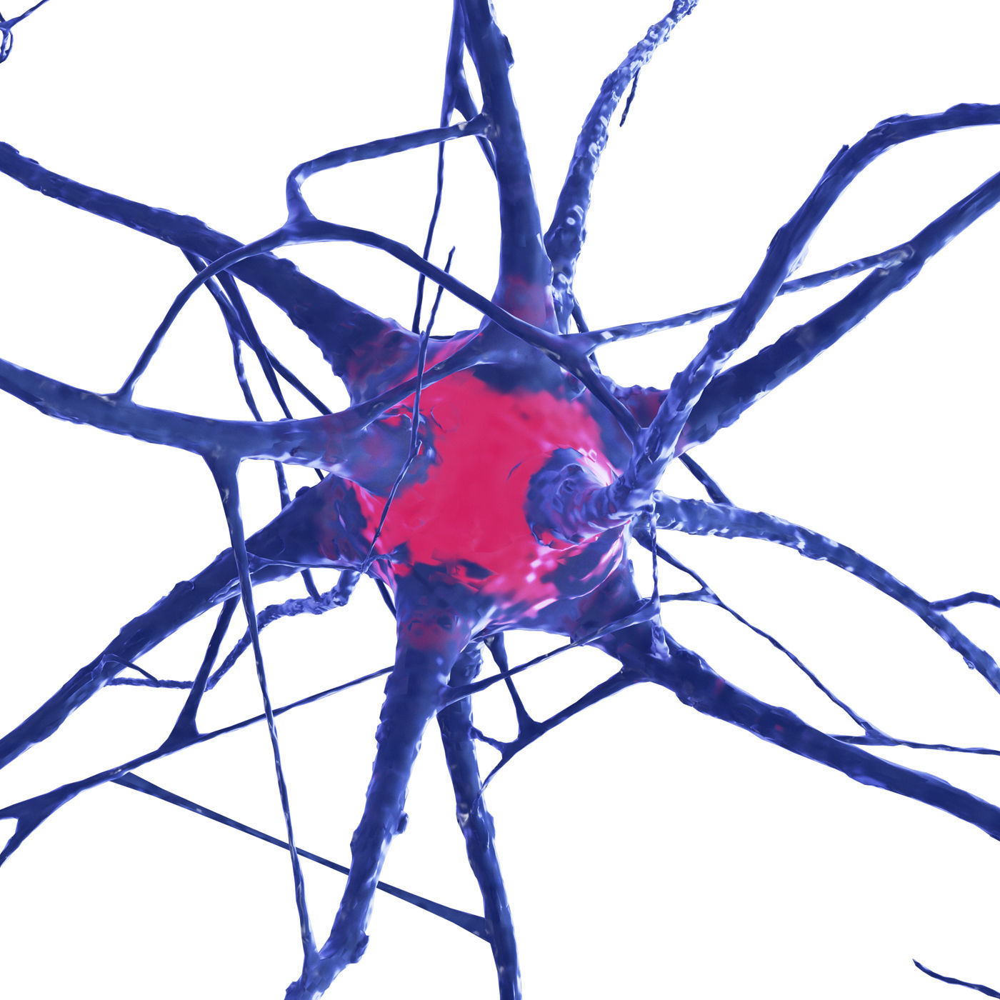 Nerve cell 3D model_1