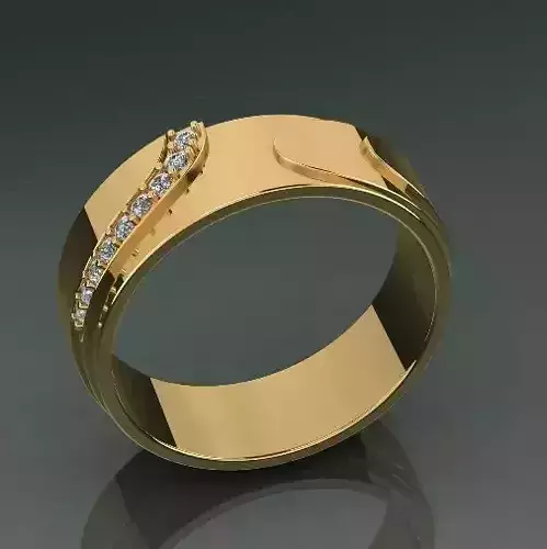 Ring Model 1660