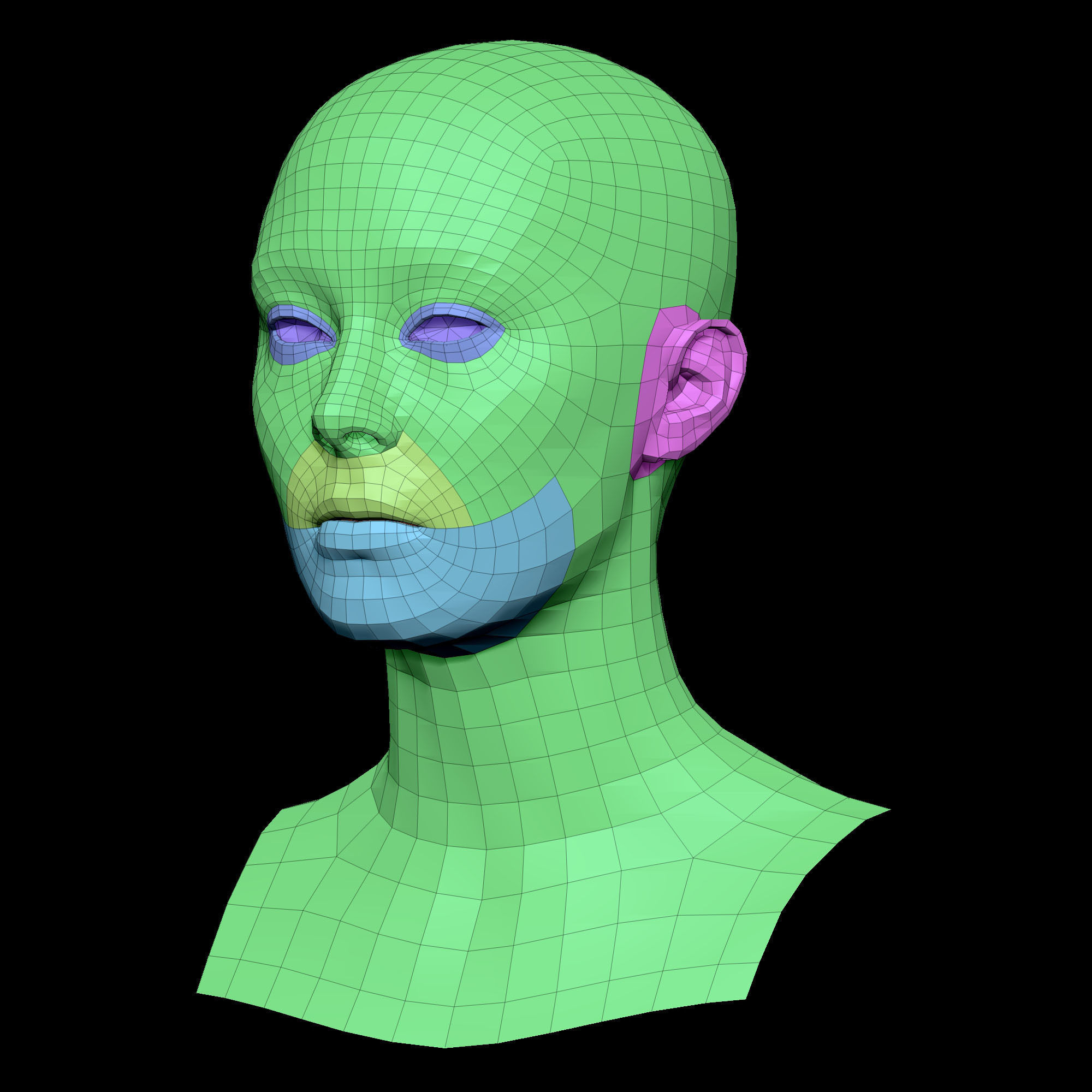 Retopologized Head Scan Anneli 3D model_6