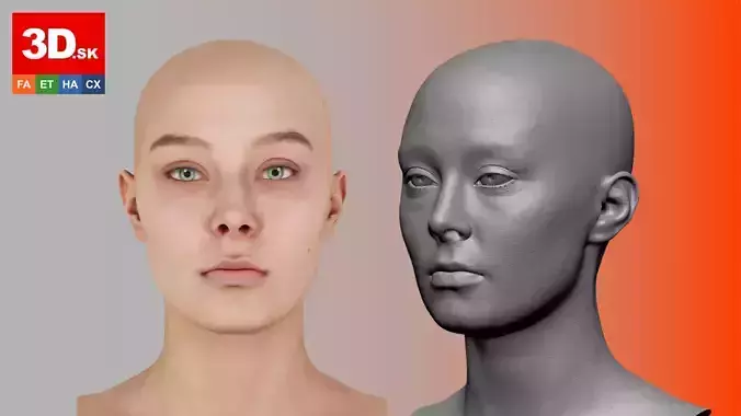 Retopologized Head Scan Anneli