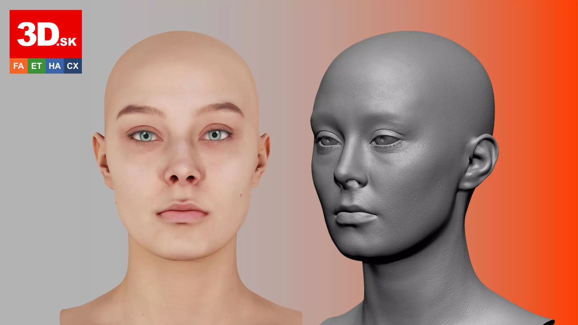 Retopologized Head Scan Anneli 3D model_0