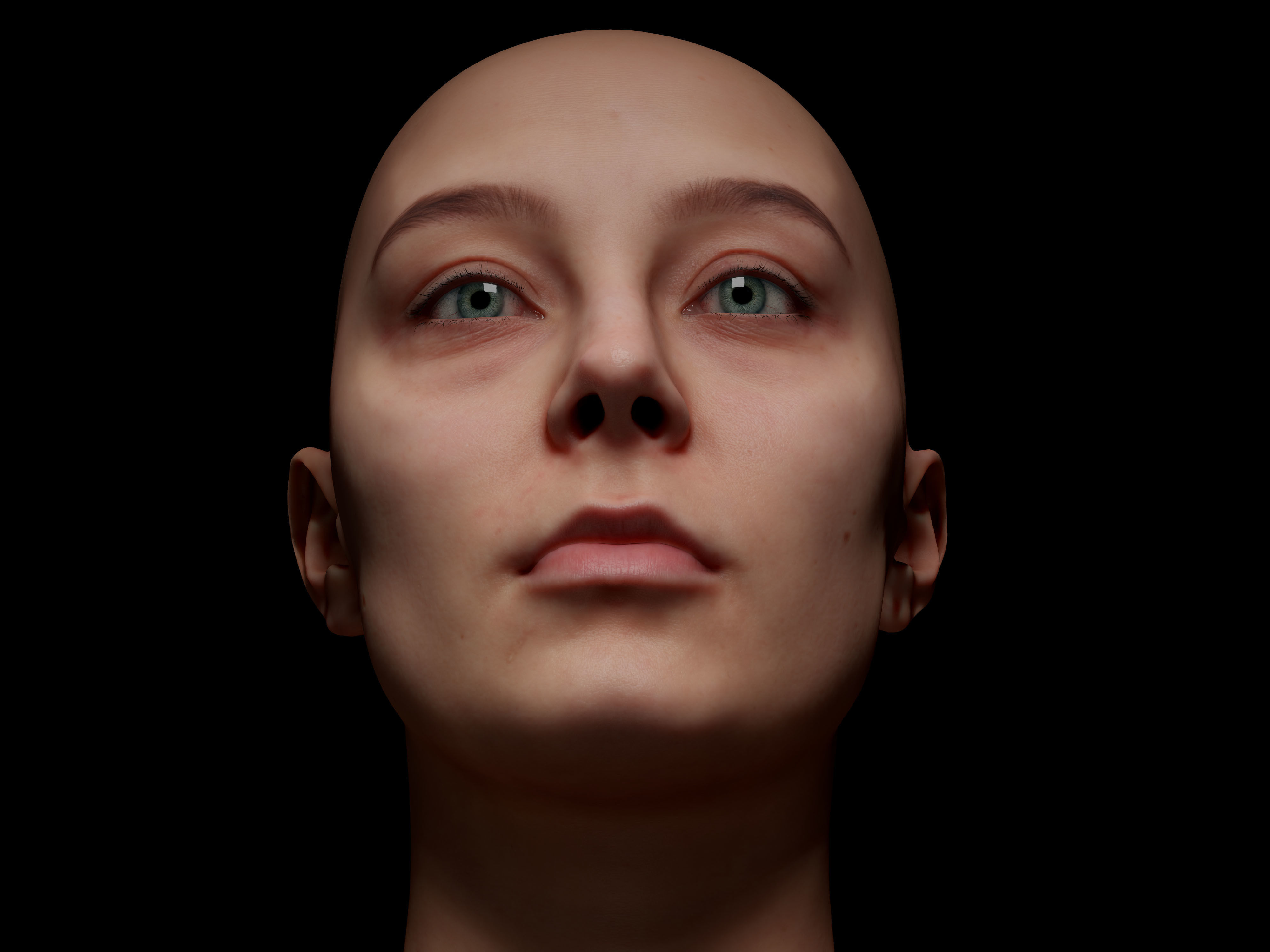 Retopologized Head Scan Anneli 3D model_10