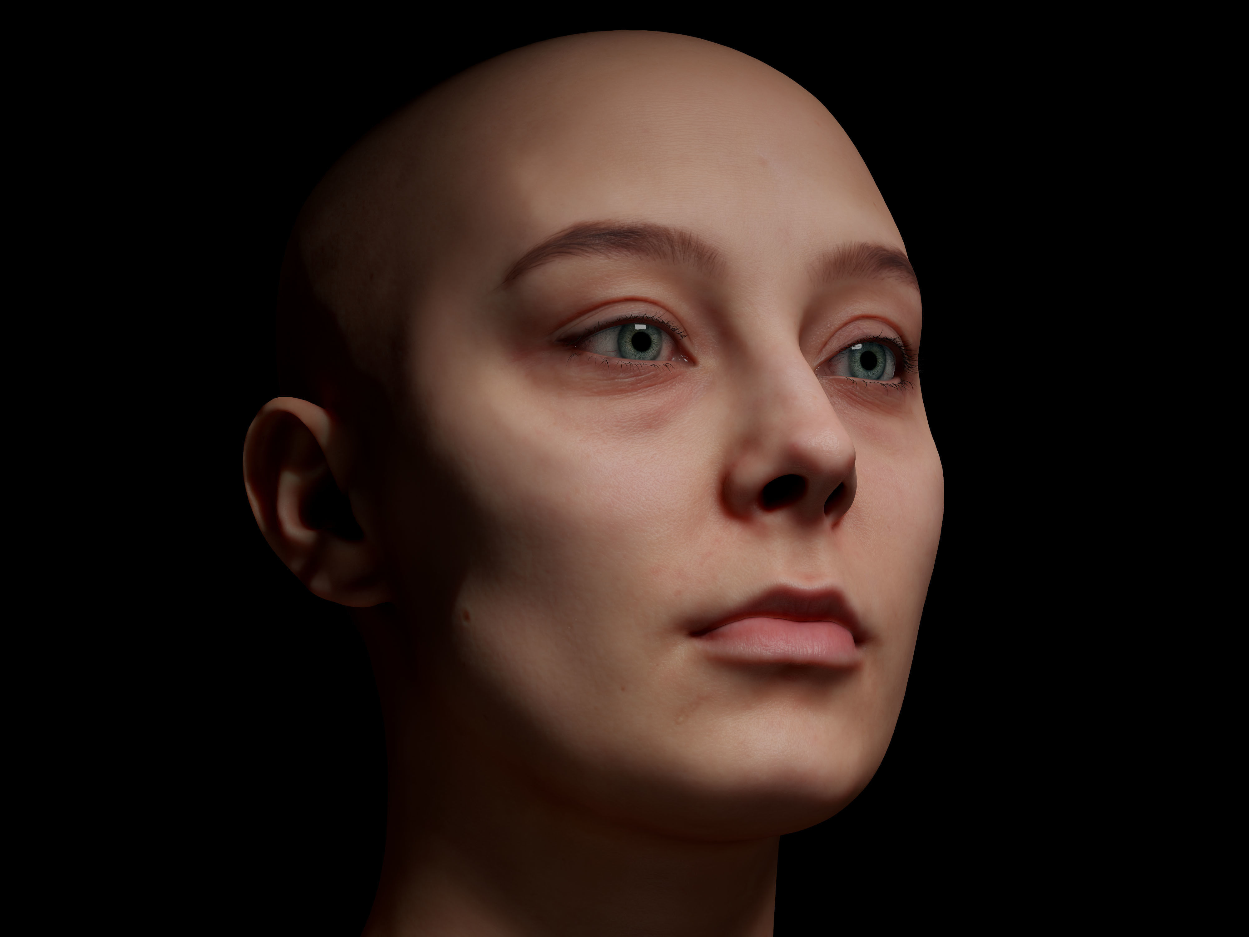 Retopologized Head Scan Anneli 3D model_7