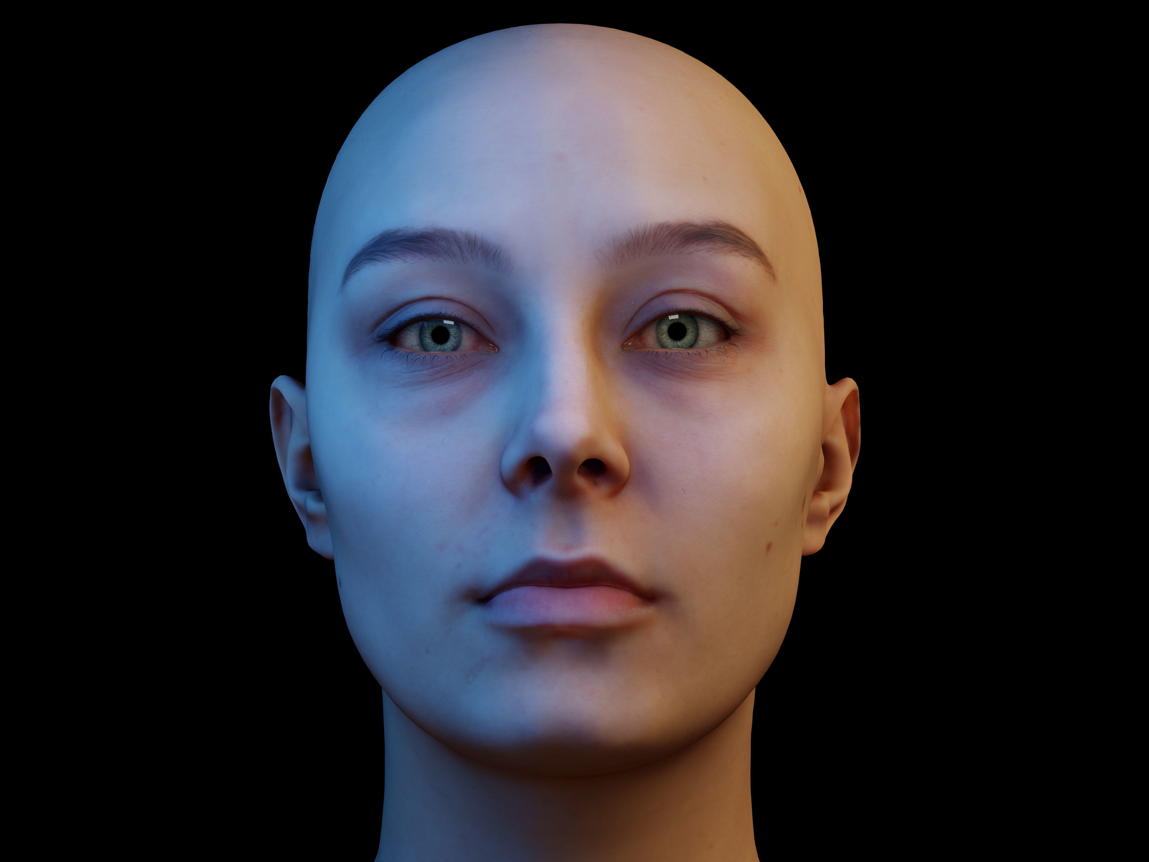 Retopologized Head Scan Anneli 3D model_11