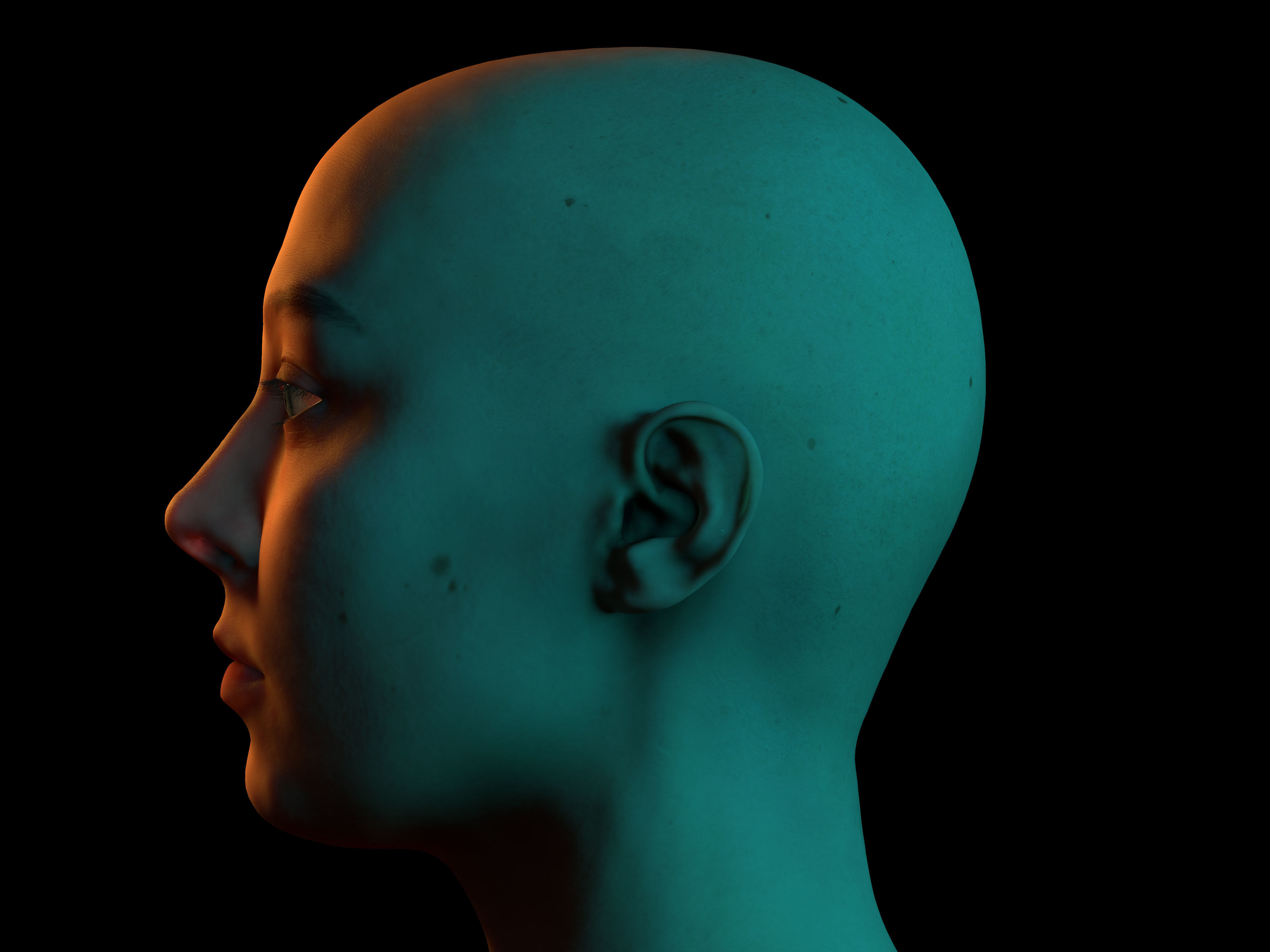 Retopologized Head Scan Anneli 3D model_12