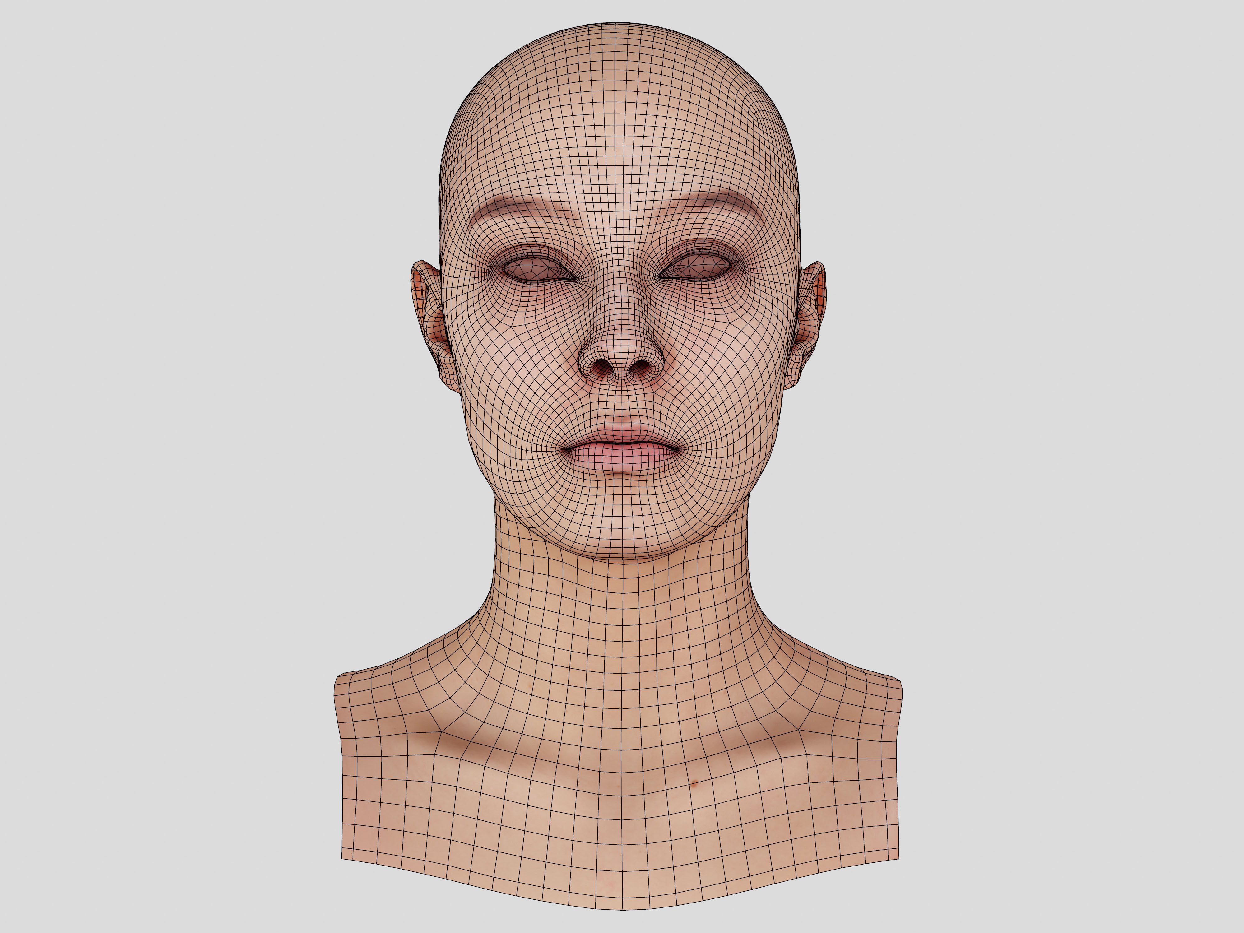 Retopologized Head Scan Anneli 3D model_13