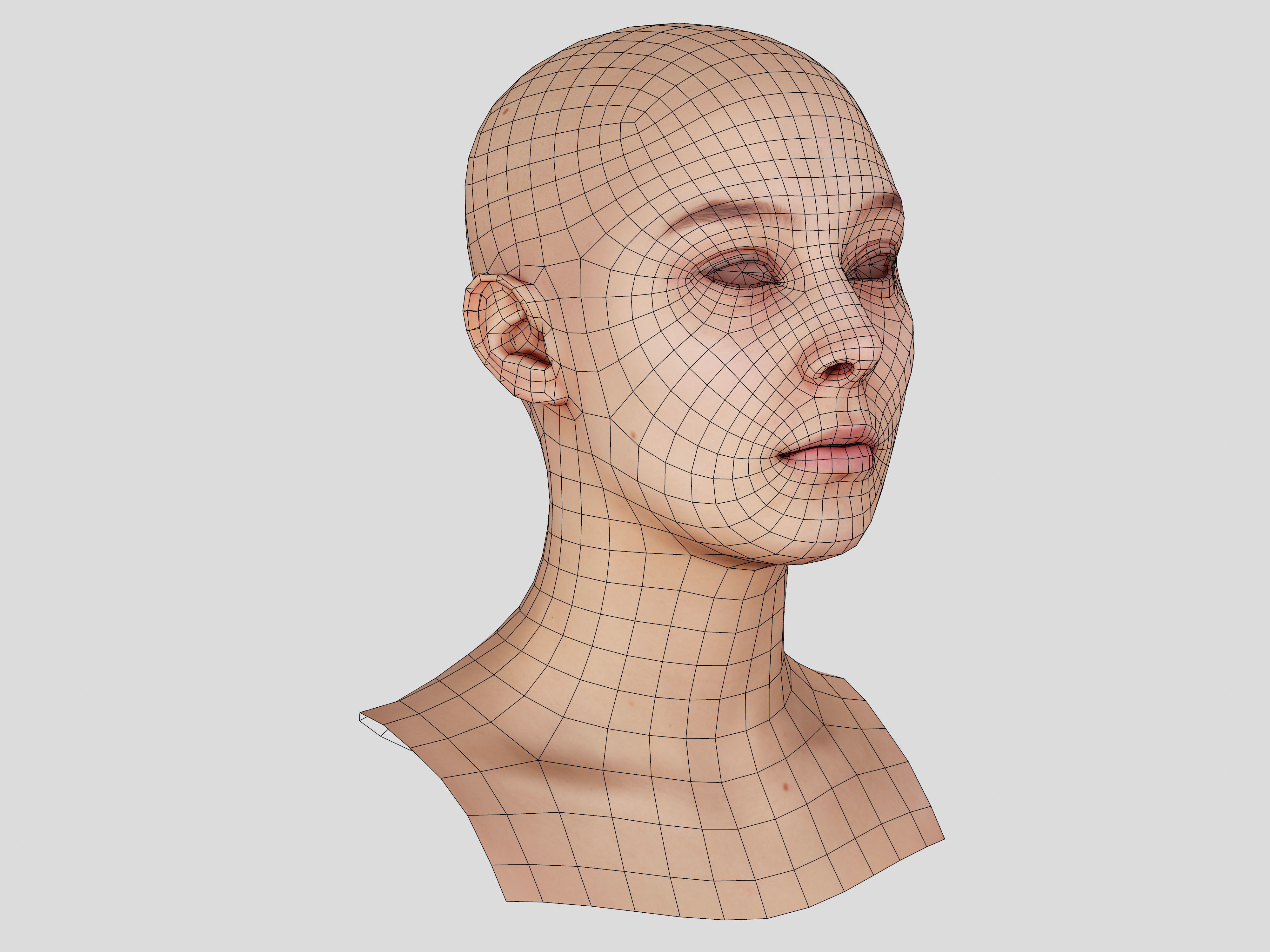 Retopologized Head Scan Anneli 3D model_14