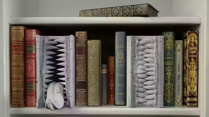 Mimic Booknook 3D print model