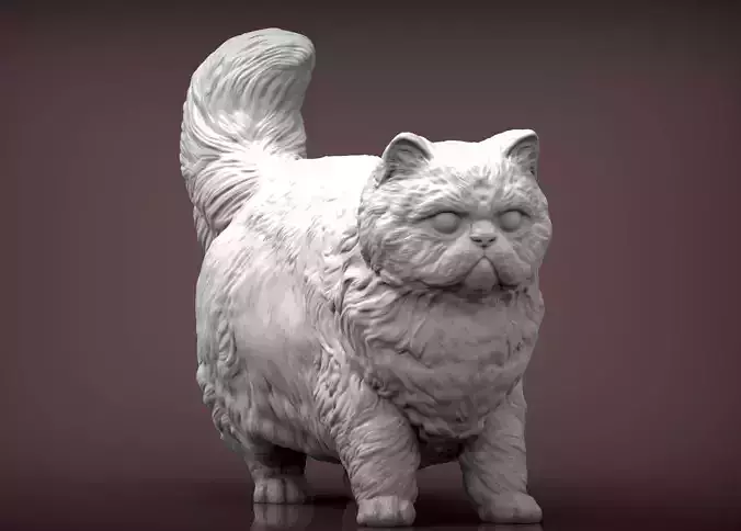 Persian cat 3D print model