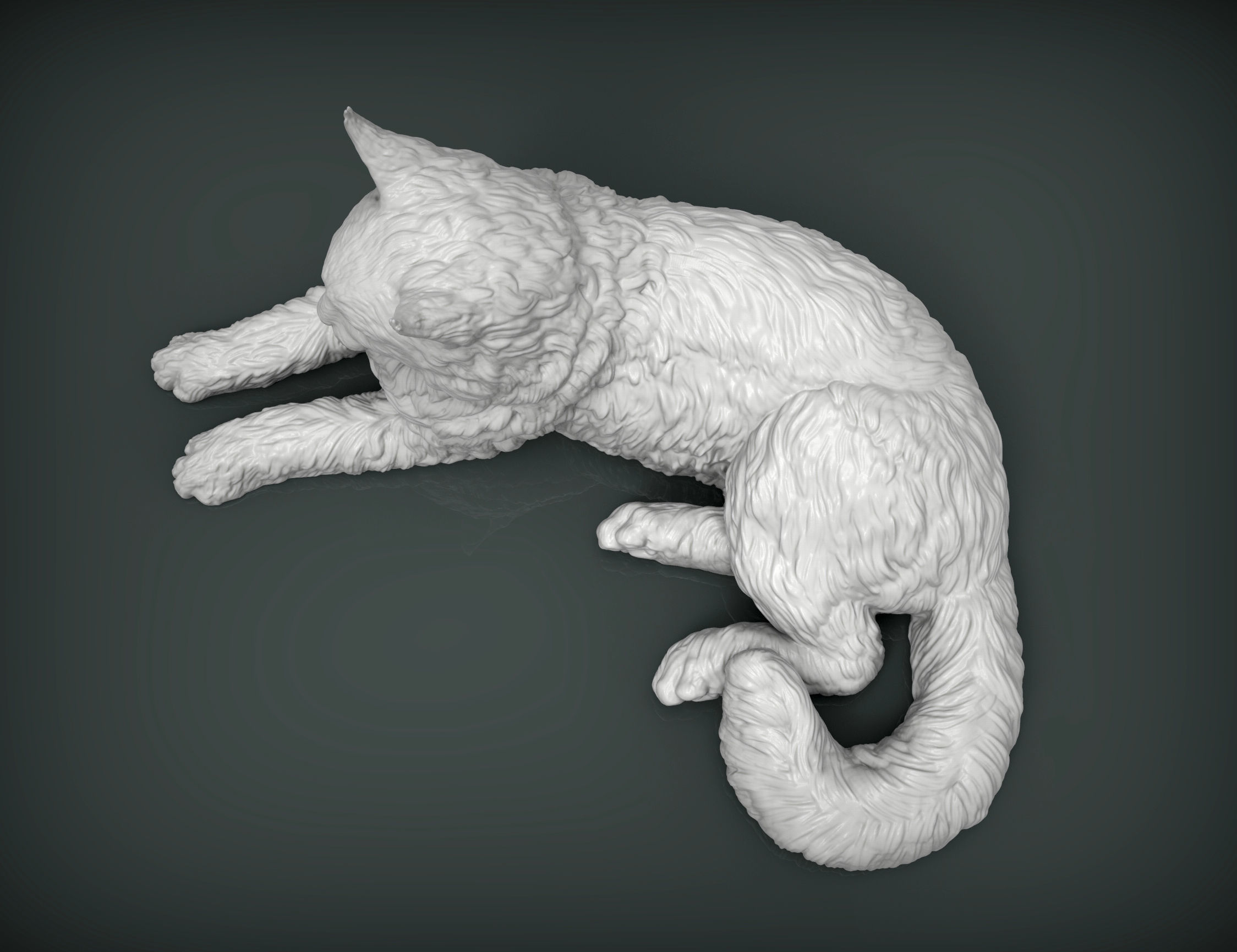 Maine Coon 3D print model_8