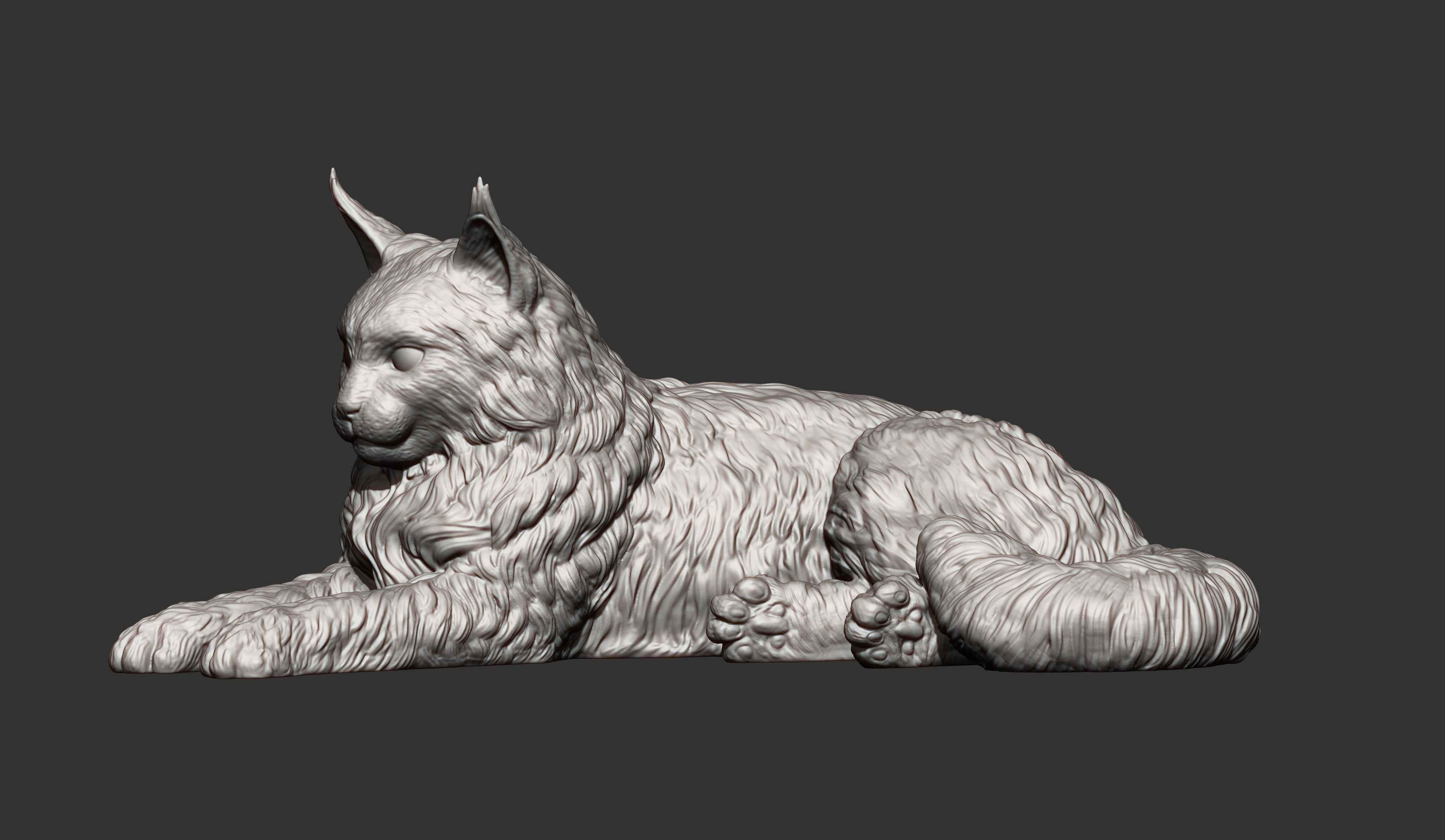 Maine Coon 3D print model_12