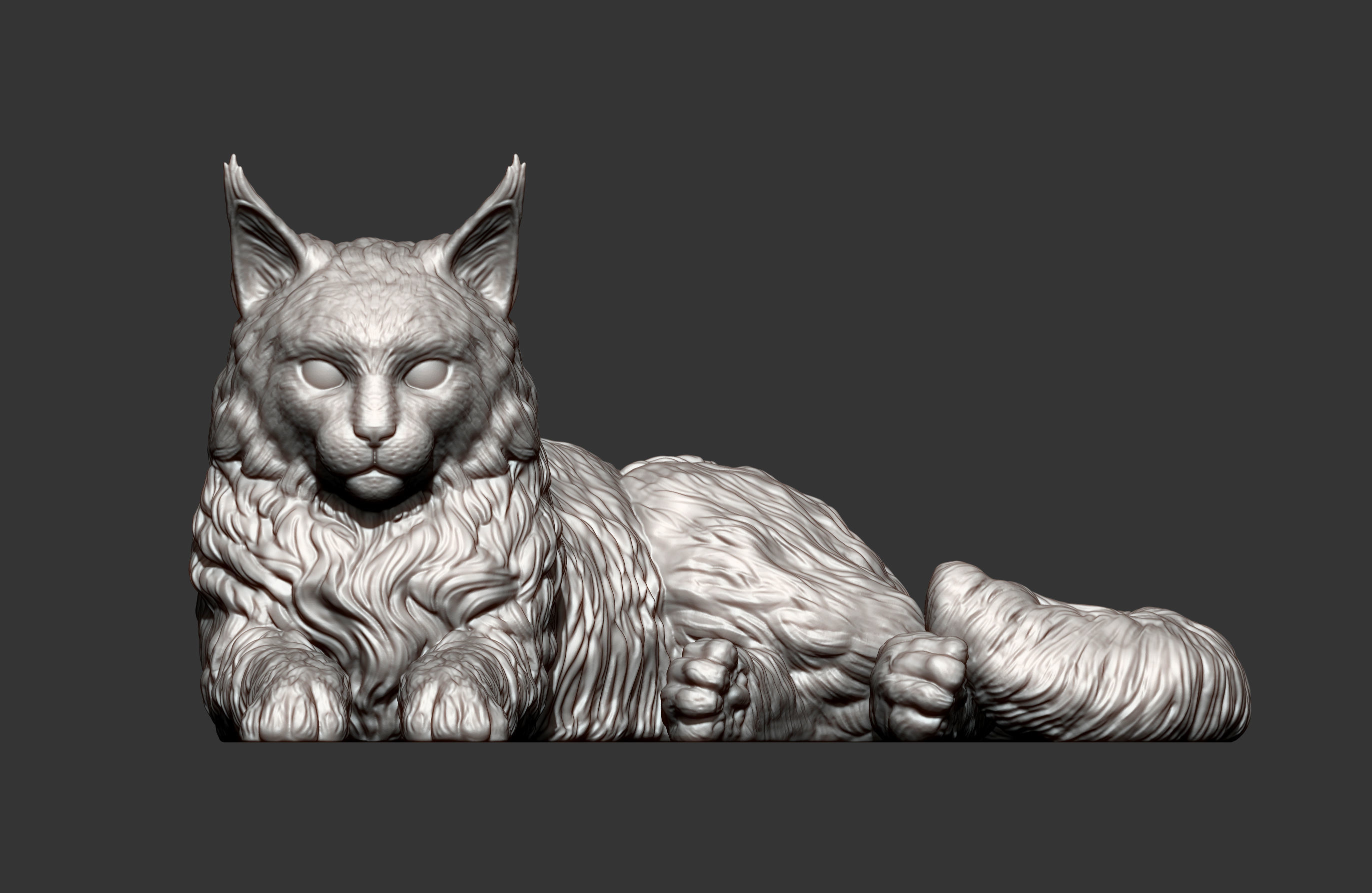 Maine Coon 3D print model_11