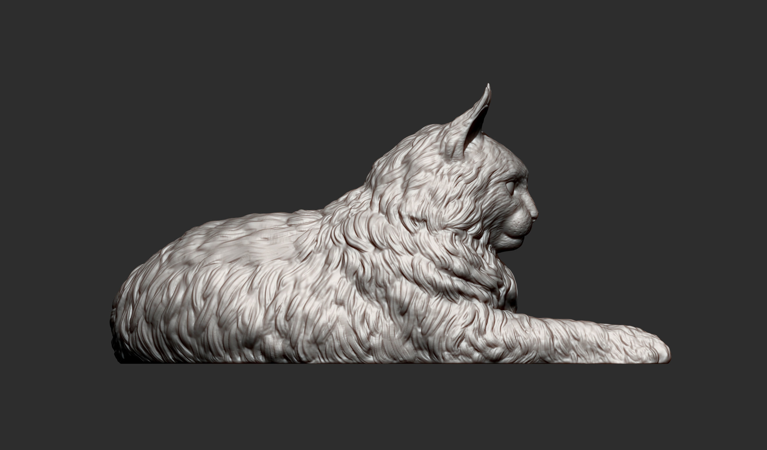 Maine Coon 3D print model_13