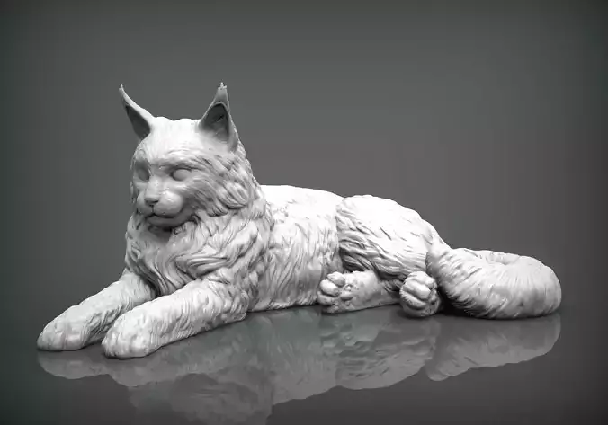 Maine Coon 3D print model