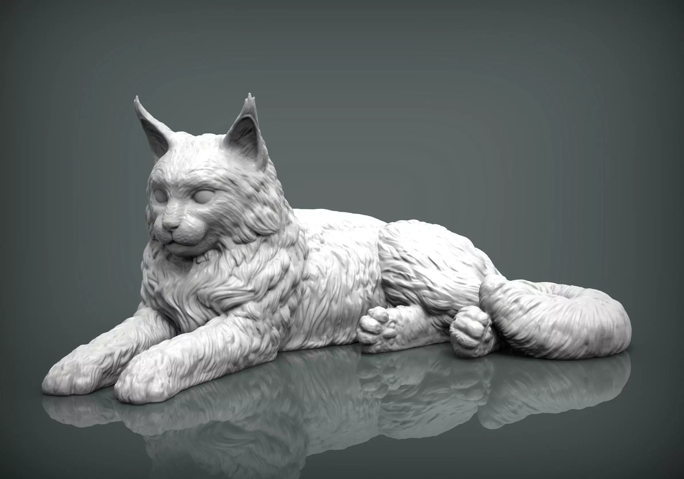 Maine Coon 3D print model_0