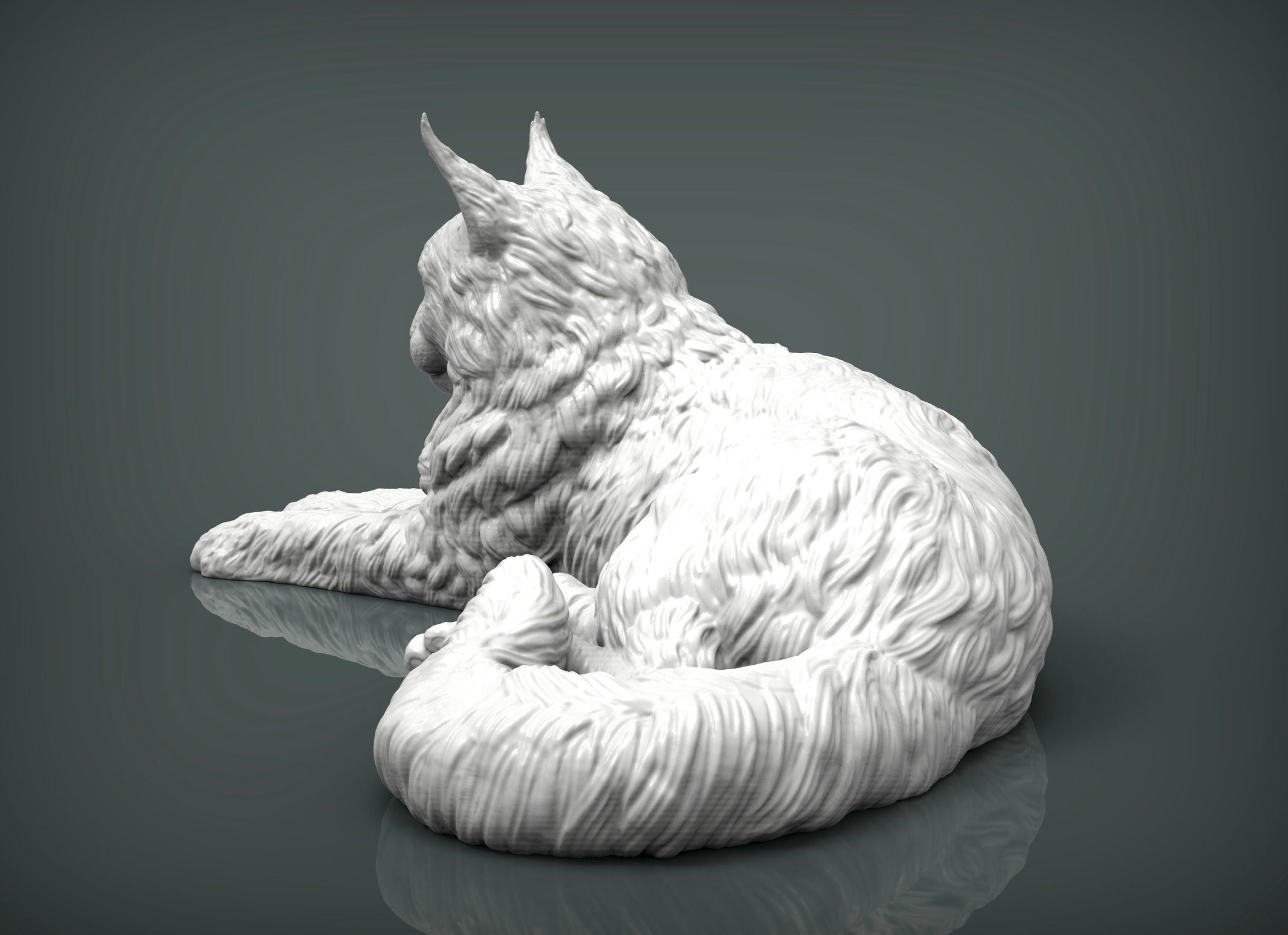 Maine Coon 3D print model_7