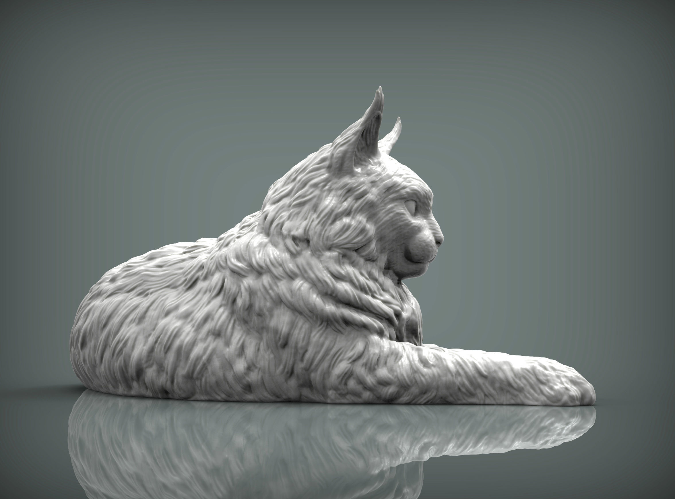 Maine Coon 3D print model_5