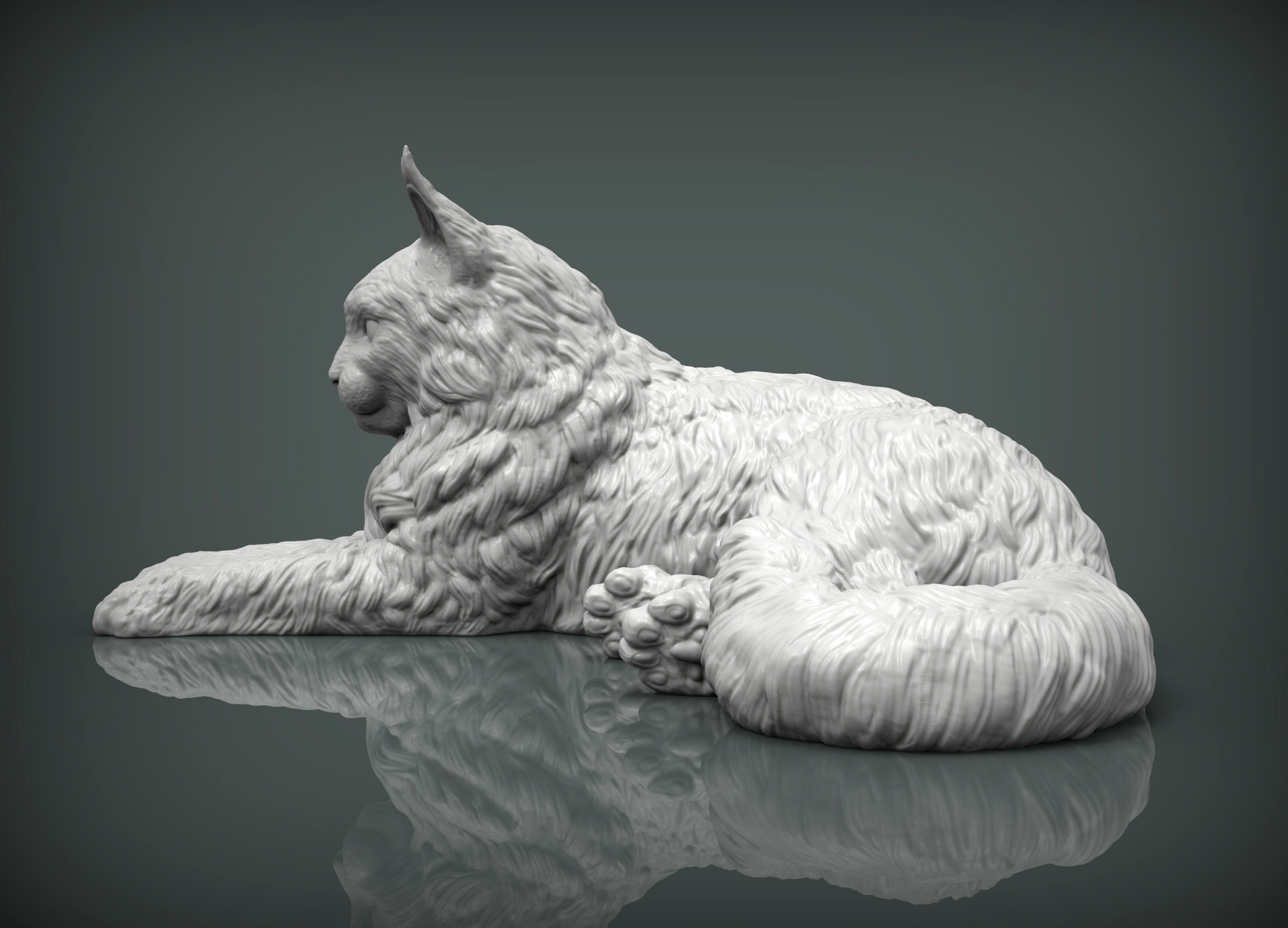Maine Coon 3D print model_2